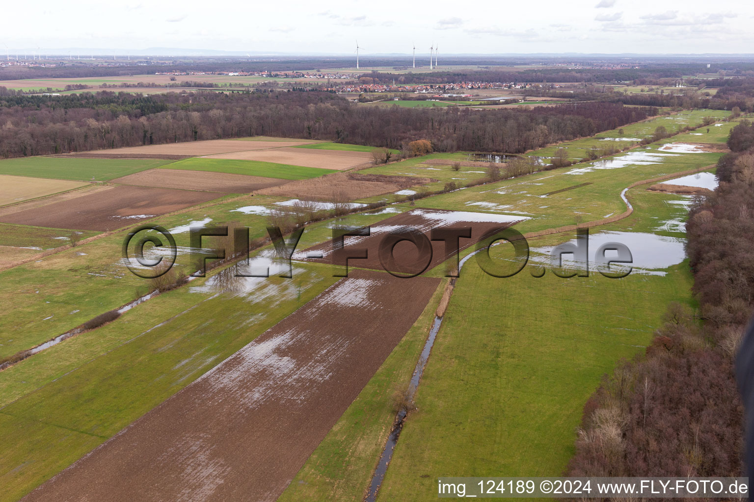 Bruchgraben inondé, Buschurgraben, Floodgraben, Erlenbach à Steinweiler dans le département Rhénanie-Palatinat, Allemagne d'en haut