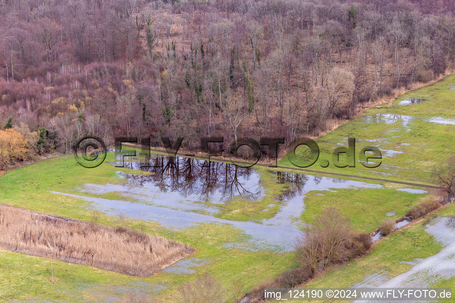 Vue aérienne de Fossé de ferme inondé, fossé d'inondation à Steinweiler dans le département Rhénanie-Palatinat, Allemagne