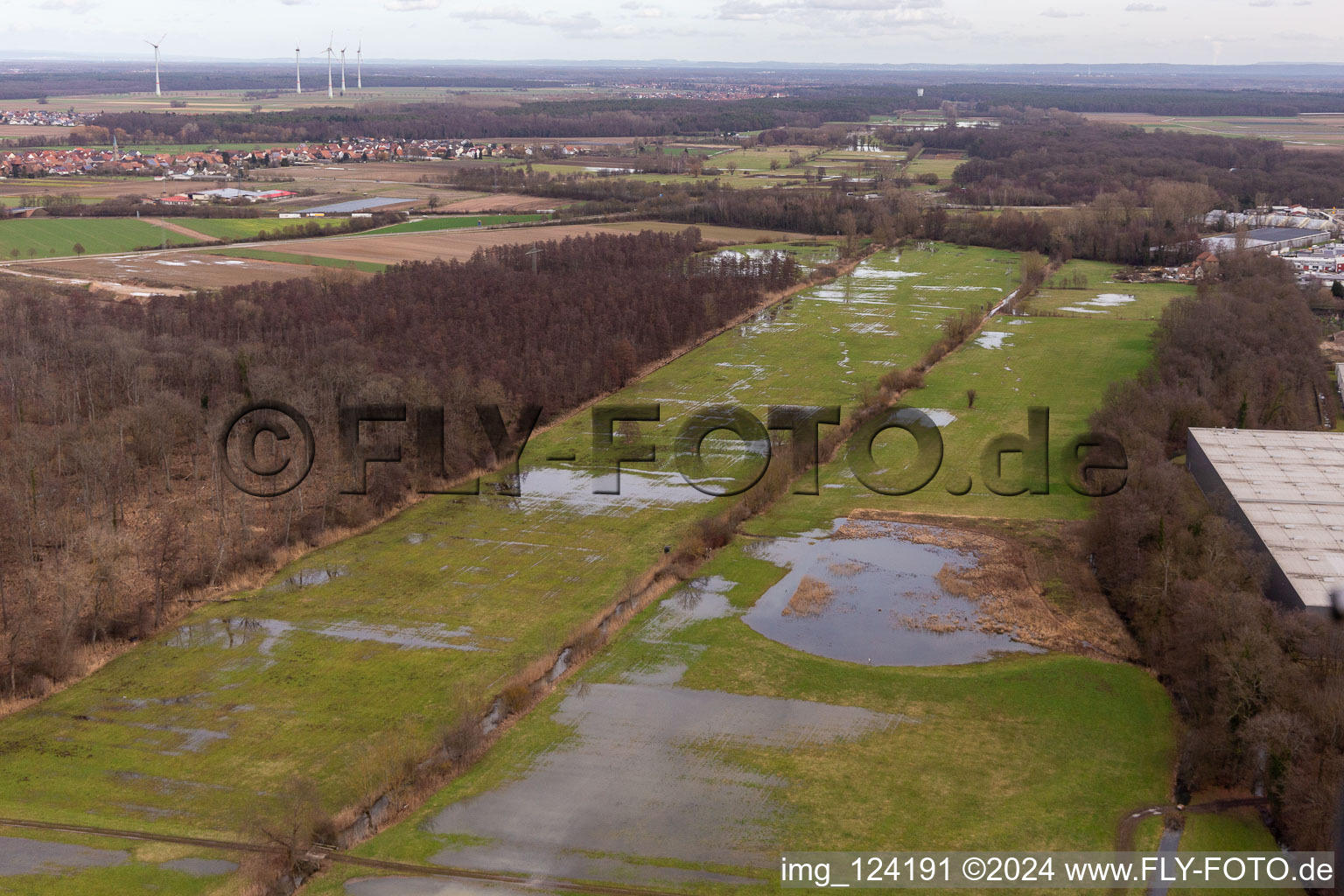 Vue aérienne de Bauerngraben inondé, fossé de crue, Erlenbach à le quartier Minderslachen in Kandel dans le département Rhénanie-Palatinat, Allemagne