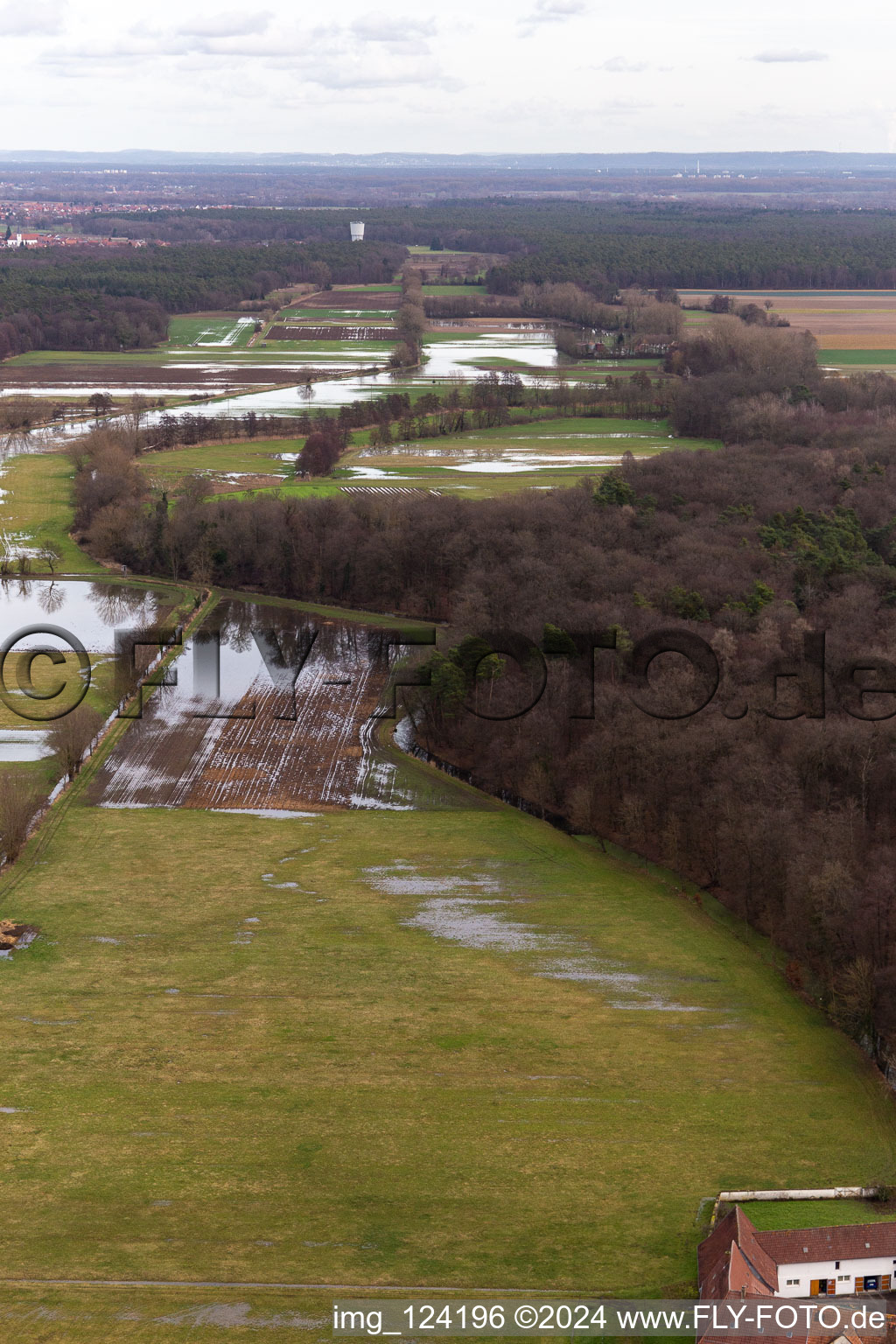 Vue aérienne de Prairies inondées du polder de Neupotz sur le lit de crue du Rhin à Neupotz à Erlenbach bei Kandel dans le département Rhénanie-Palatinat, Allemagne