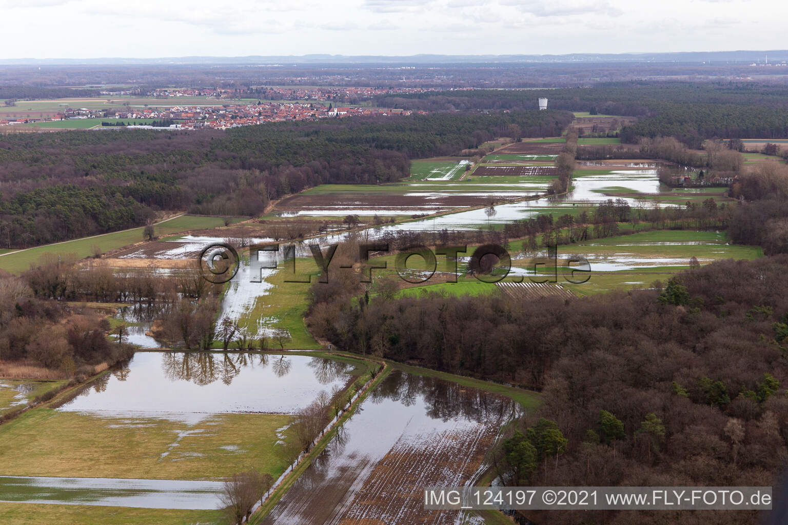 Vue aérienne de Prairies inondées du polder de Neupotz sur le lit de crue du Rhin à Neupotz à Erlenbach bei Kandel dans le département Rhénanie-Palatinat, Allemagne