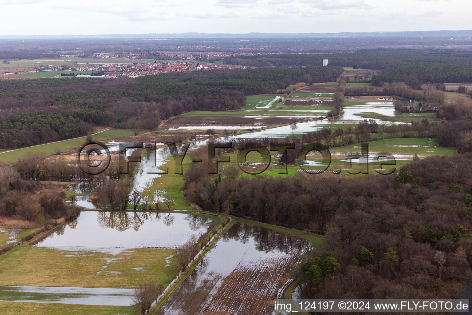 Vue aérienne de Prairies inondées du polder de Neupotz sur le lit de crue du Rhin à Neupotz à Erlenbach bei Kandel dans le département Rhénanie-Palatinat, Allemagne