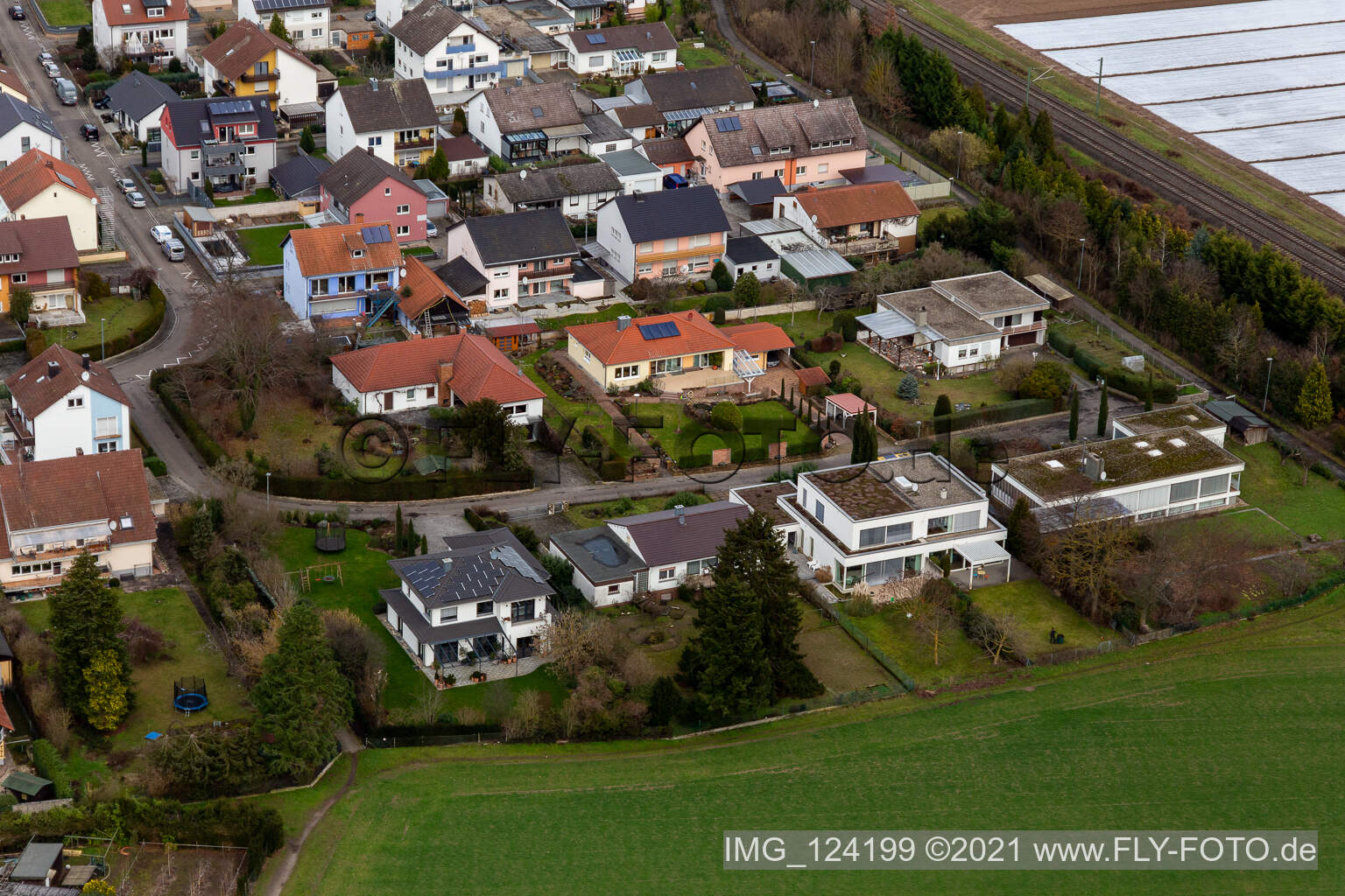 Vue aérienne de Rue Elisabeth Langgaesser à Rheinzabern dans le département Rhénanie-Palatinat, Allemagne