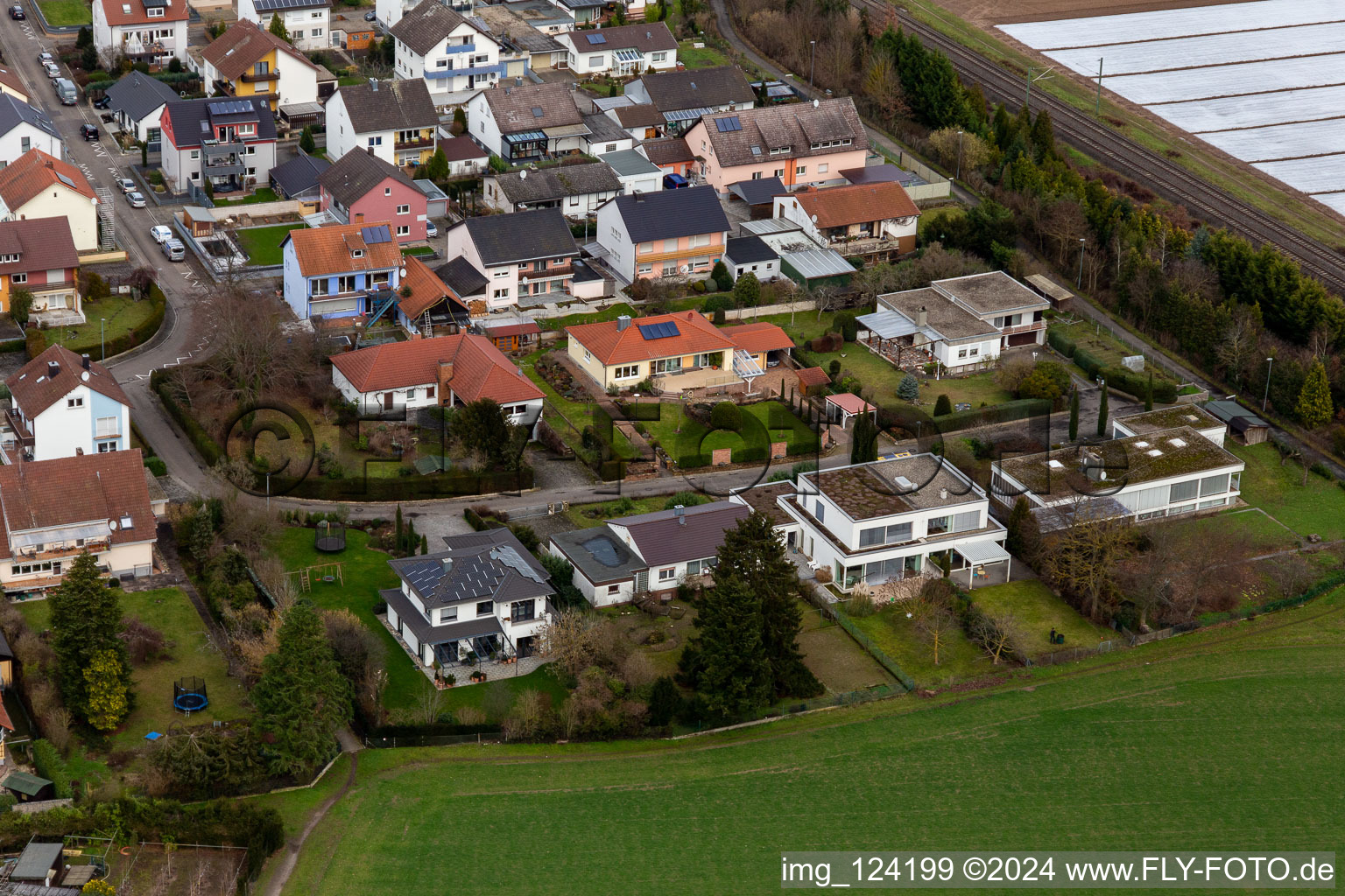 Vue aérienne de Rue Elisabeth Langgaesser à Rheinzabern dans le département Rhénanie-Palatinat, Allemagne