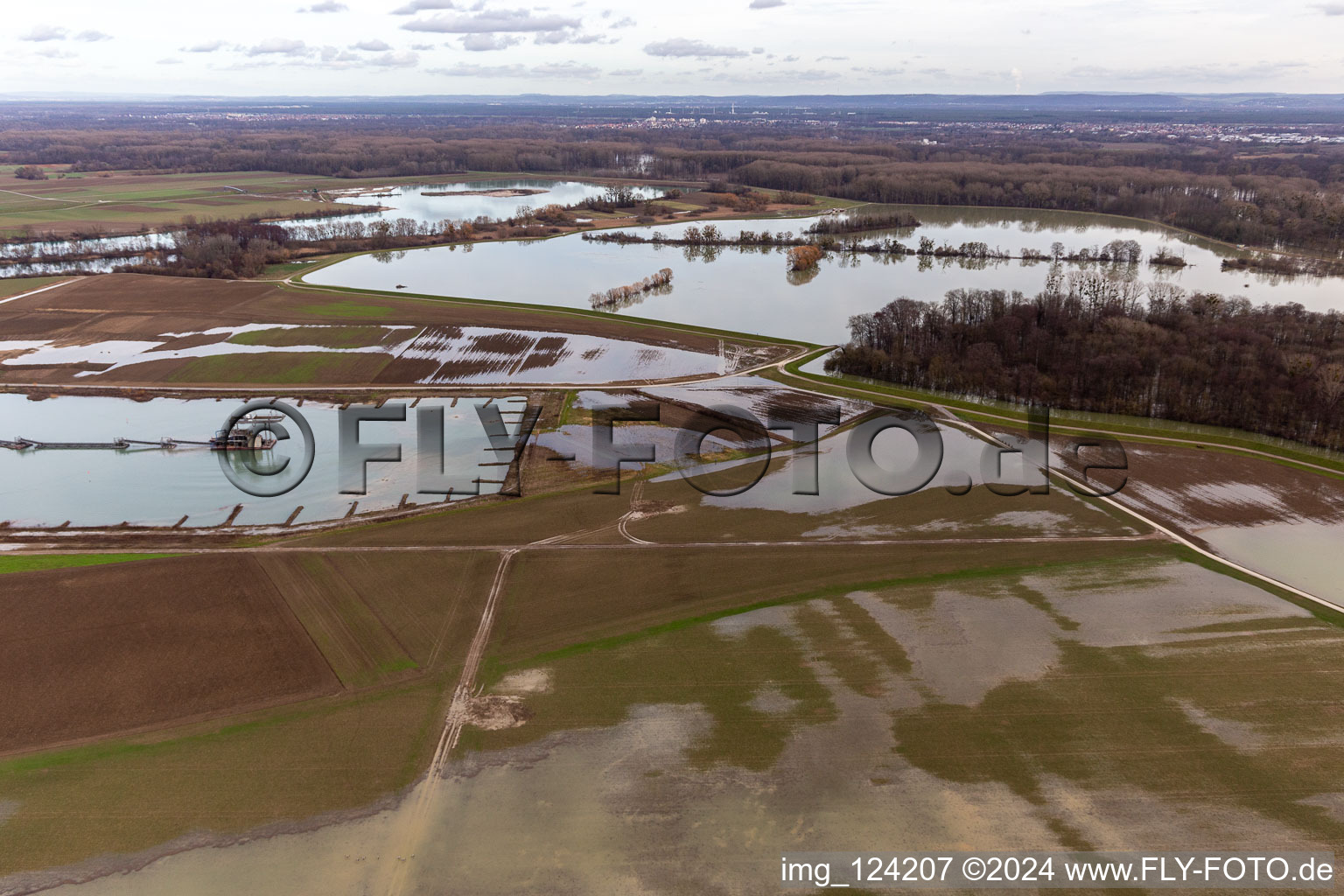 Vue aérienne de Prairies inondées du polder de Neupotz sur le lit de crue du Rhin à Neupotz à Jockgrim dans le département Rhénanie-Palatinat, Allemagne