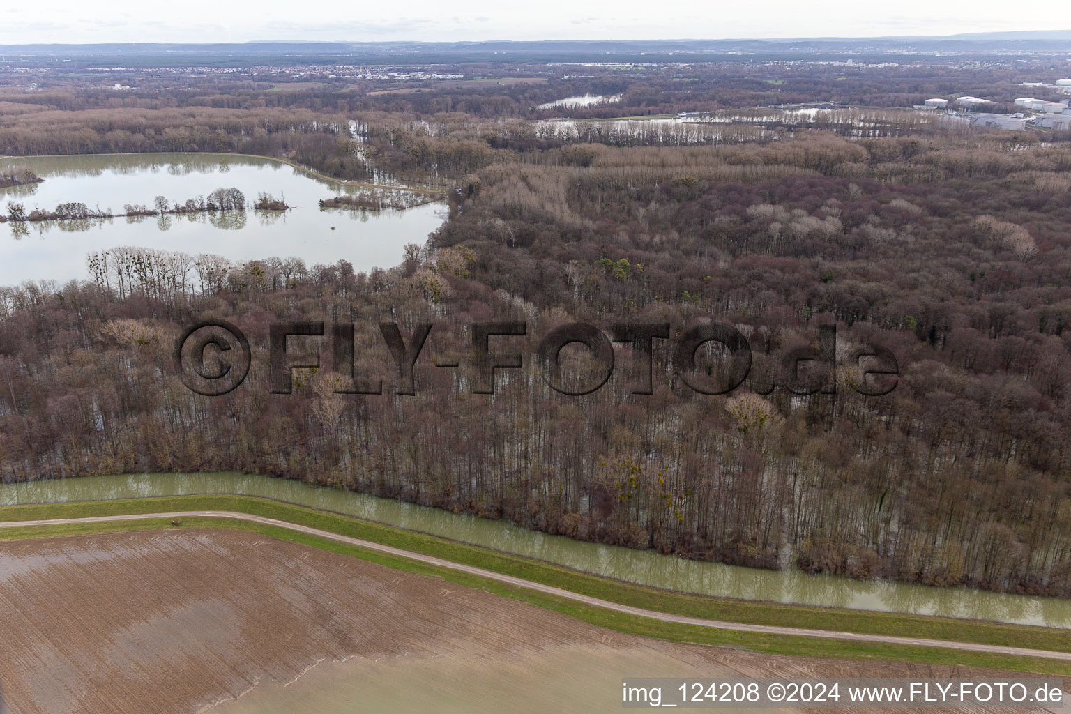 Vue aérienne de Vieux Rhin inondé / Polder de Neupotz à Wörth am Rhein dans le département Rhénanie-Palatinat, Allemagne