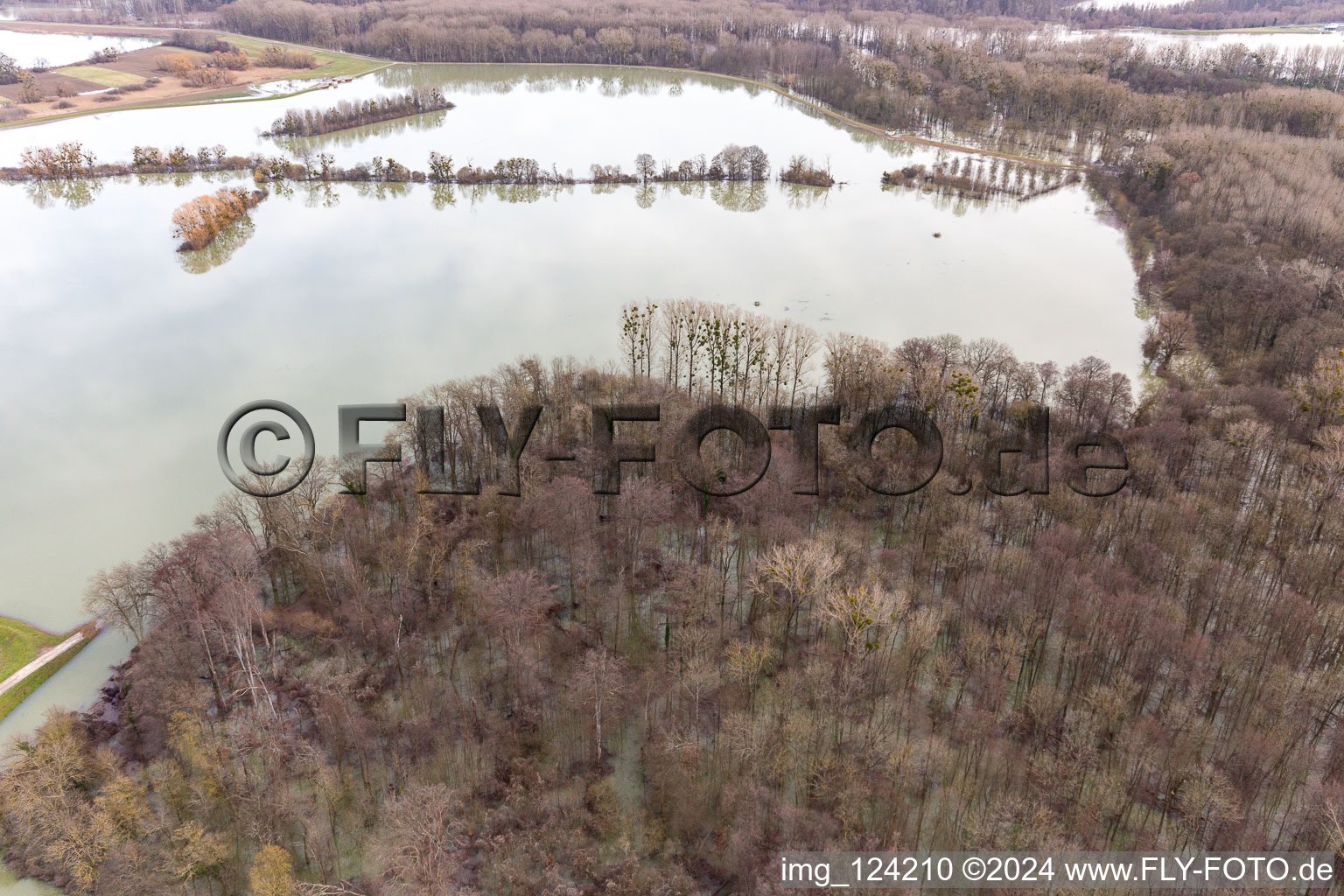 Vue aérienne de Vieux Rhin inondé / Polder de Neupotz à Wörth am Rhein dans le département Rhénanie-Palatinat, Allemagne