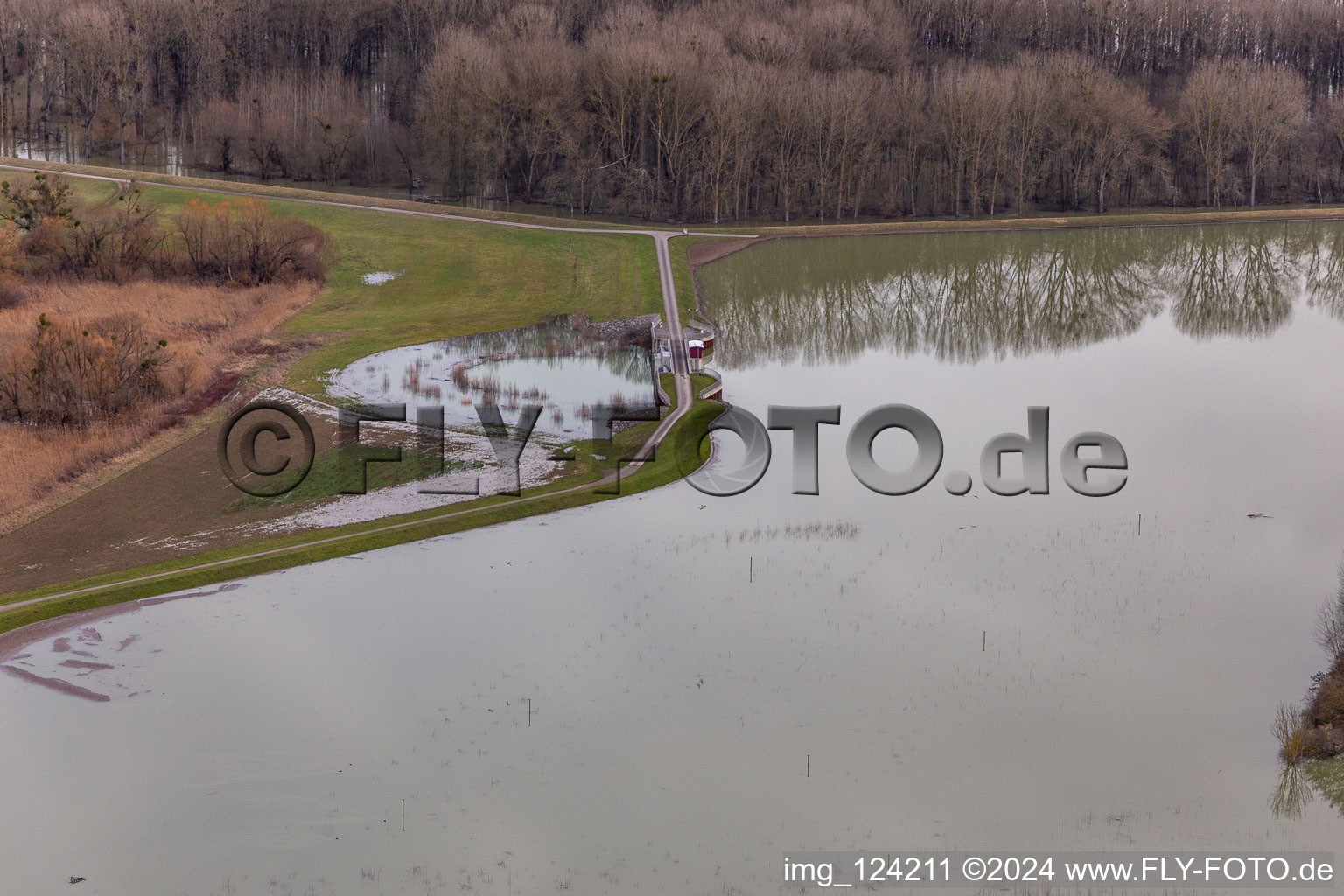 Vue aérienne de Prairies inondées du polder de Neupotz sur le lit de crue du Rhin à Neupotz à Wörth am Rhein dans le département Rhénanie-Palatinat, Allemagne