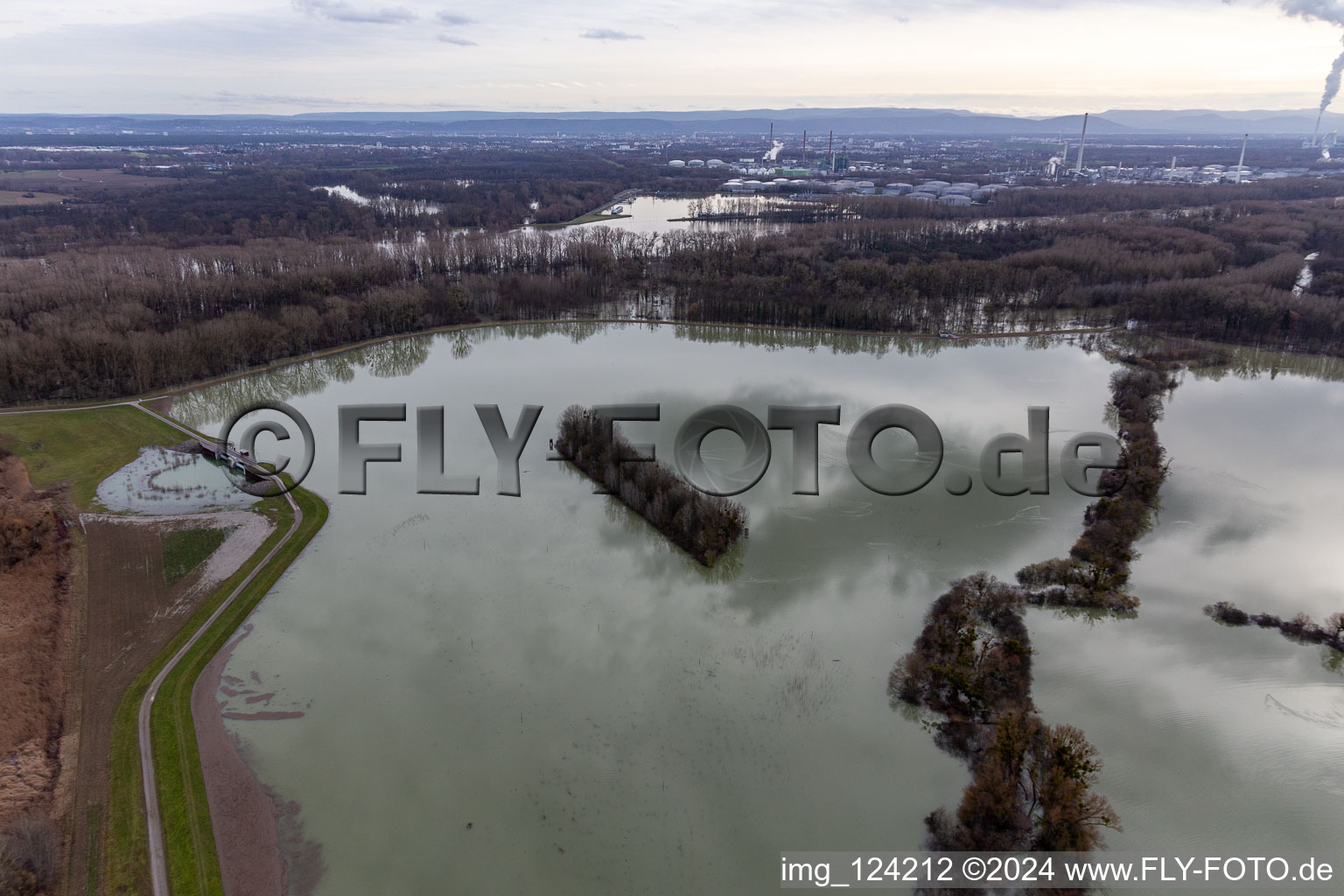 Vue aérienne de Prairies inondées du polder de Neupotz sur le lit de crue du Rhin à Neupotz à Wörth am Rhein dans le département Rhénanie-Palatinat, Allemagne