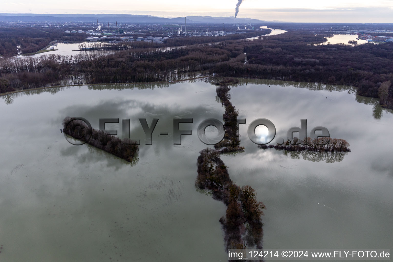 Vue oblique de Vieux Rhin inondé / Polder de Neupotz à Wörth am Rhein dans le département Rhénanie-Palatinat, Allemagne