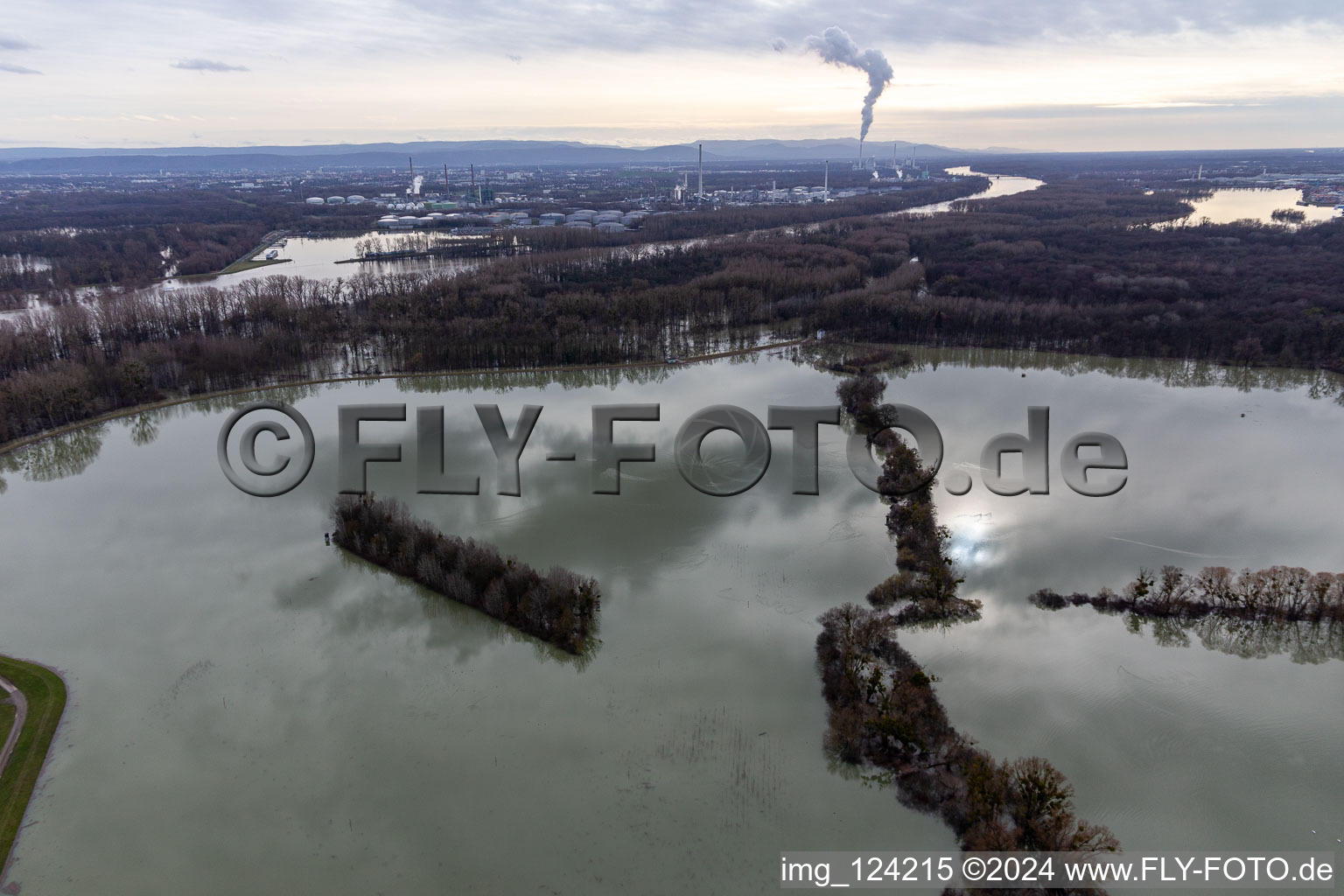 Photographie aérienne de Prairies inondées du polder de Neupotz sur le lit de crue du Rhin à Neupotz à Wörth am Rhein dans le département Rhénanie-Palatinat, Allemagne