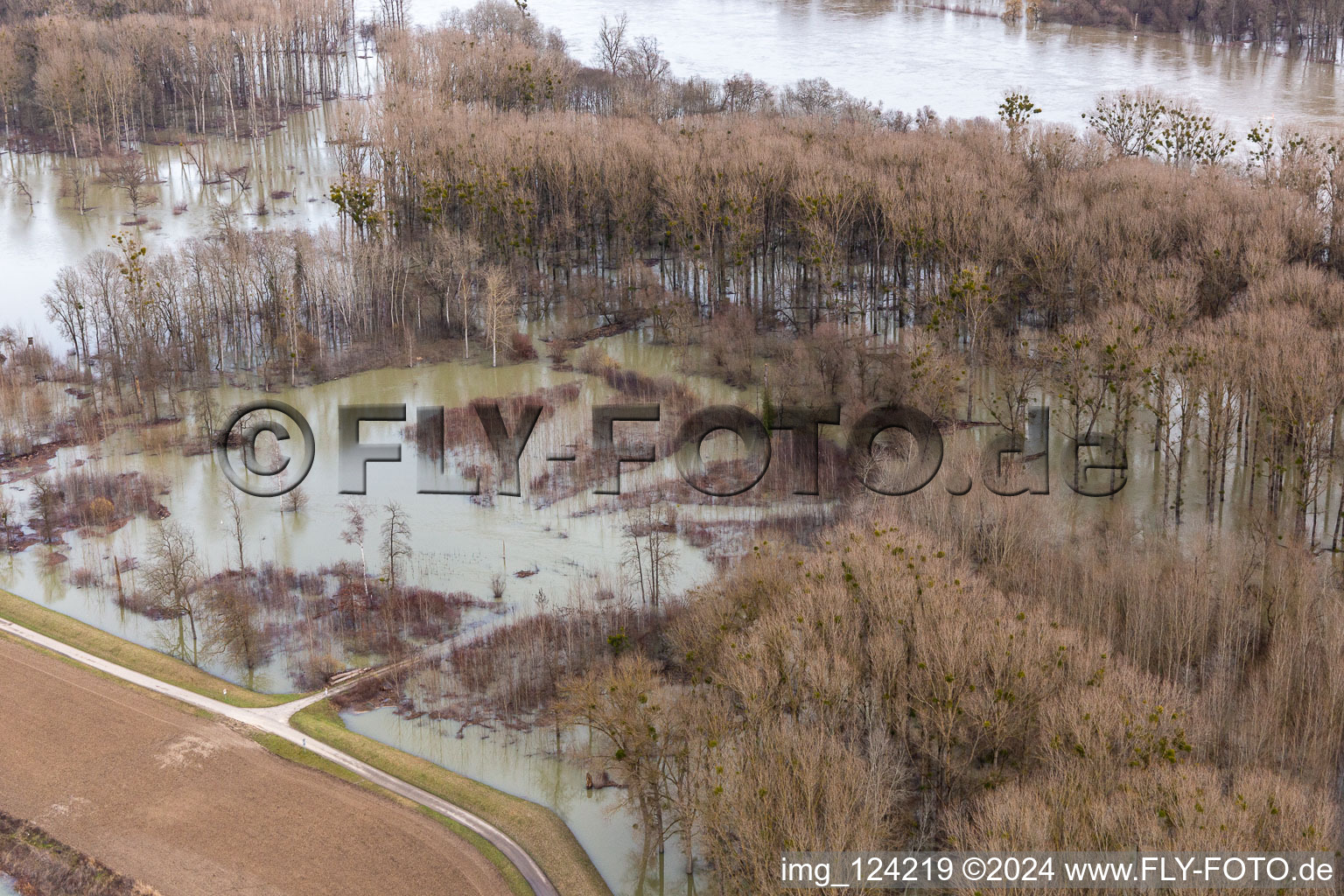 Vue aérienne de Plaines inondables du Rhin inondées à Neupotz dans le département Rhénanie-Palatinat, Allemagne