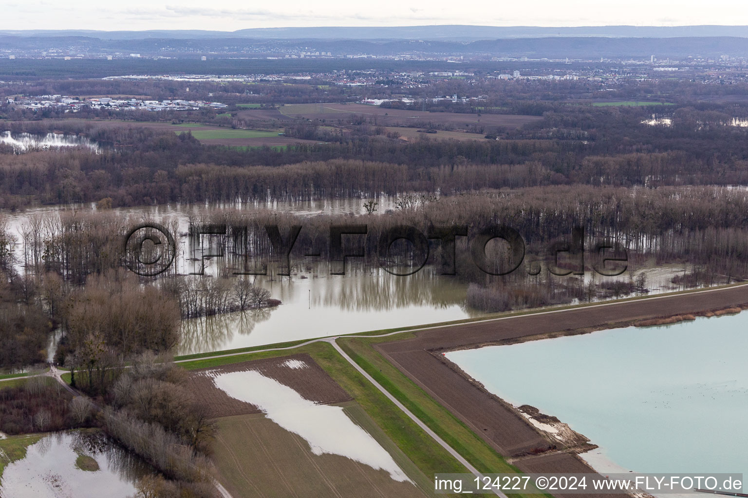 Vue aérienne de Prairies inondées du polder Neupotz sur le lit du Rhin en crue à Neupotz dans le département Rhénanie-Palatinat, Allemagne