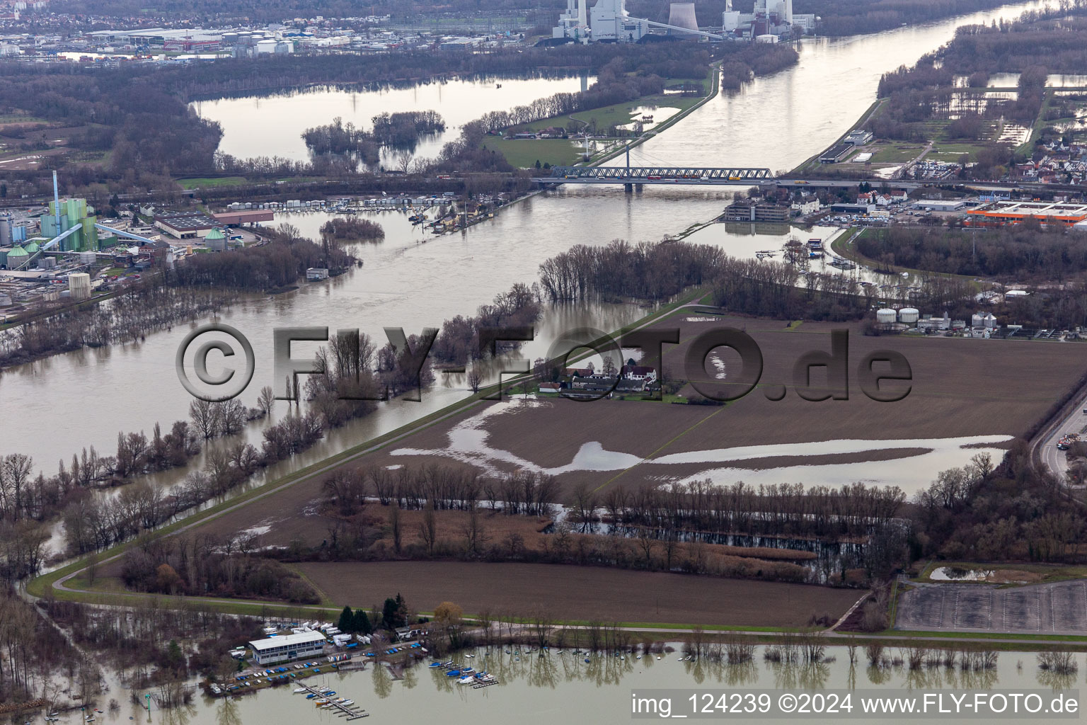 Vue aérienne de Hofgut Ludwigsau près des inondations du Rhin à le quartier Maximiliansau in Wörth am Rhein dans le département Rhénanie-Palatinat, Allemagne