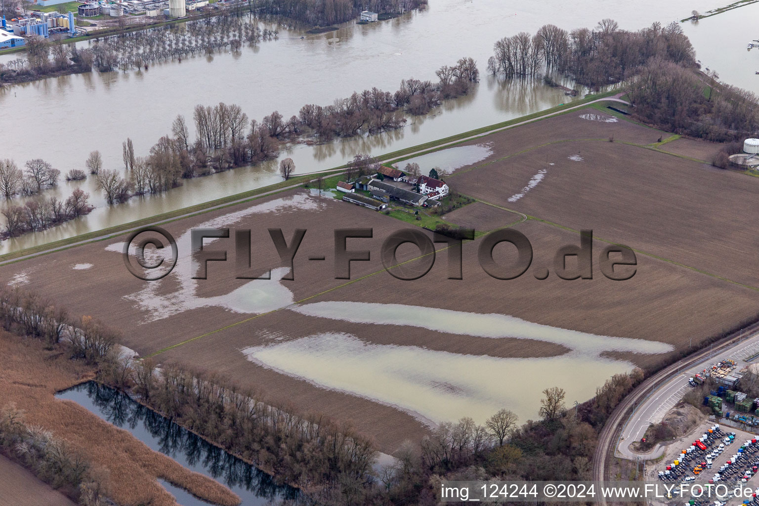 Vue aérienne de Propriété et dépendances agricoles Hofgut Ludwigsau près des inondations du Rhin à le quartier Maximiliansau in Wörth am Rhein dans le département Rhénanie-Palatinat, Allemagne