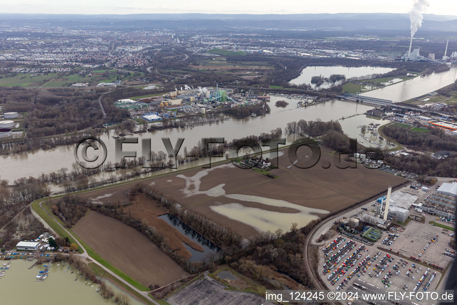 Photographie aérienne de Hofgut Ludwigsau près des inondations du Rhin à le quartier Maximiliansau in Wörth am Rhein dans le département Rhénanie-Palatinat, Allemagne