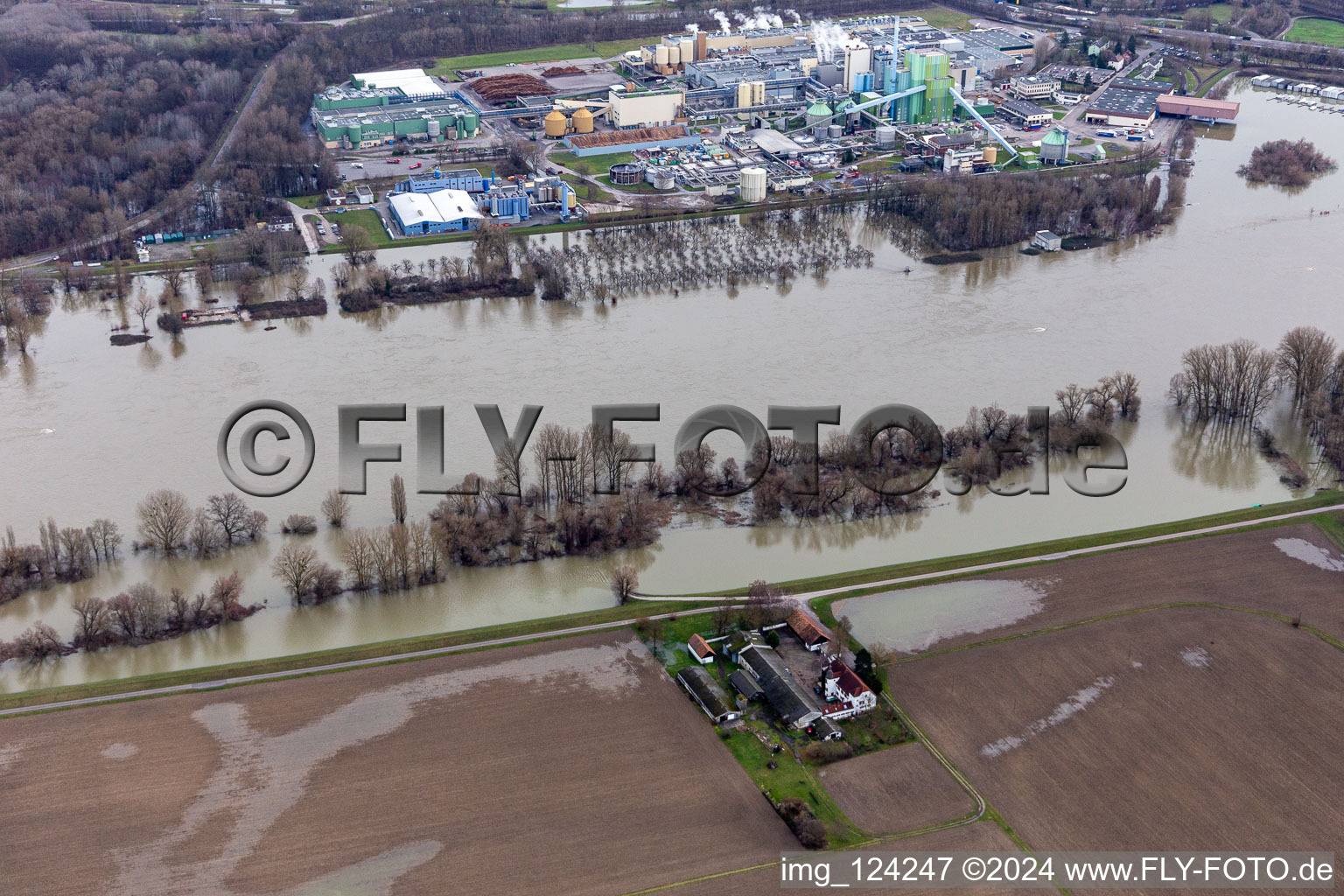 Vue aérienne de Propriété et dépendances agricoles Hofgut Ludwigsau près des inondations du Rhin à le quartier Maximiliansau in Wörth am Rhein dans le département Rhénanie-Palatinat, Allemagne