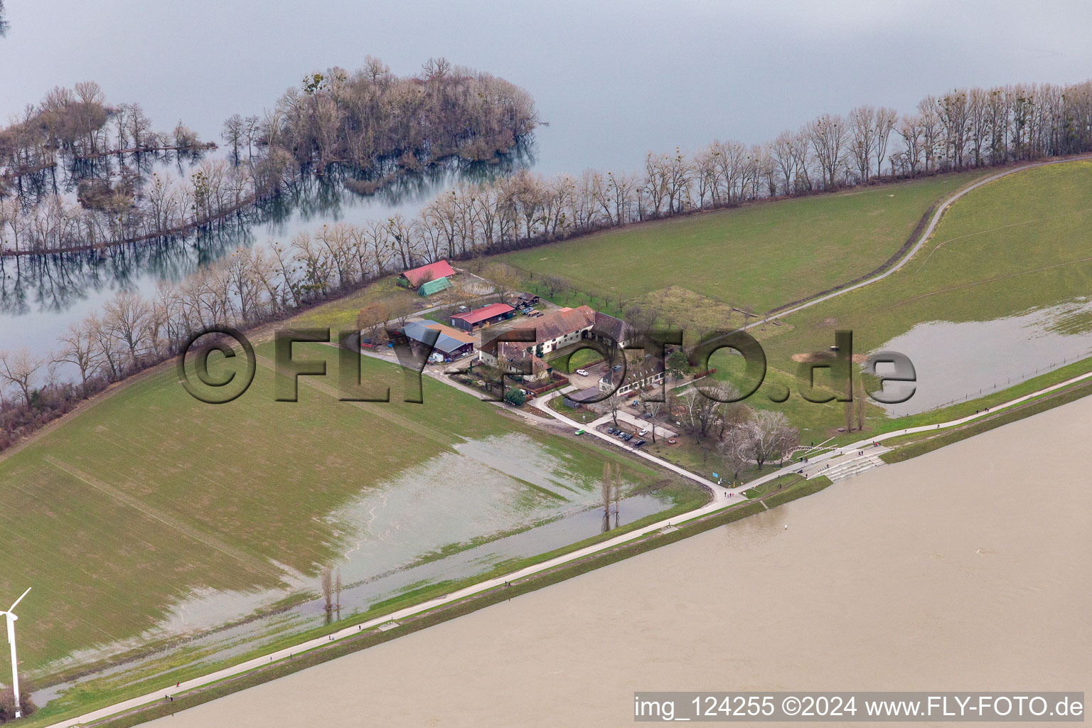 Vue aérienne de Propriété et dépendances agricoles Hofgut Maxau Auberge / magasin de ferme près de la crue du Rhin à Maxau à le quartier Knielingen in Karlsruhe dans le département Bade-Wurtemberg, Allemagne