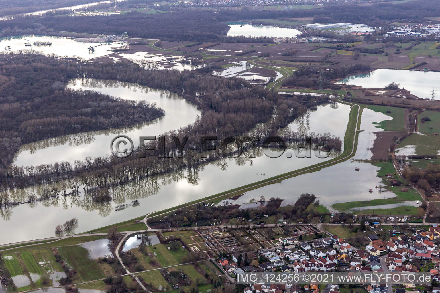 Vue aérienne de Hagenbacher Altrhein devant l'île de Nauas lors d'une inondation à le quartier Maximiliansau in Wörth am Rhein dans le département Rhénanie-Palatinat, Allemagne