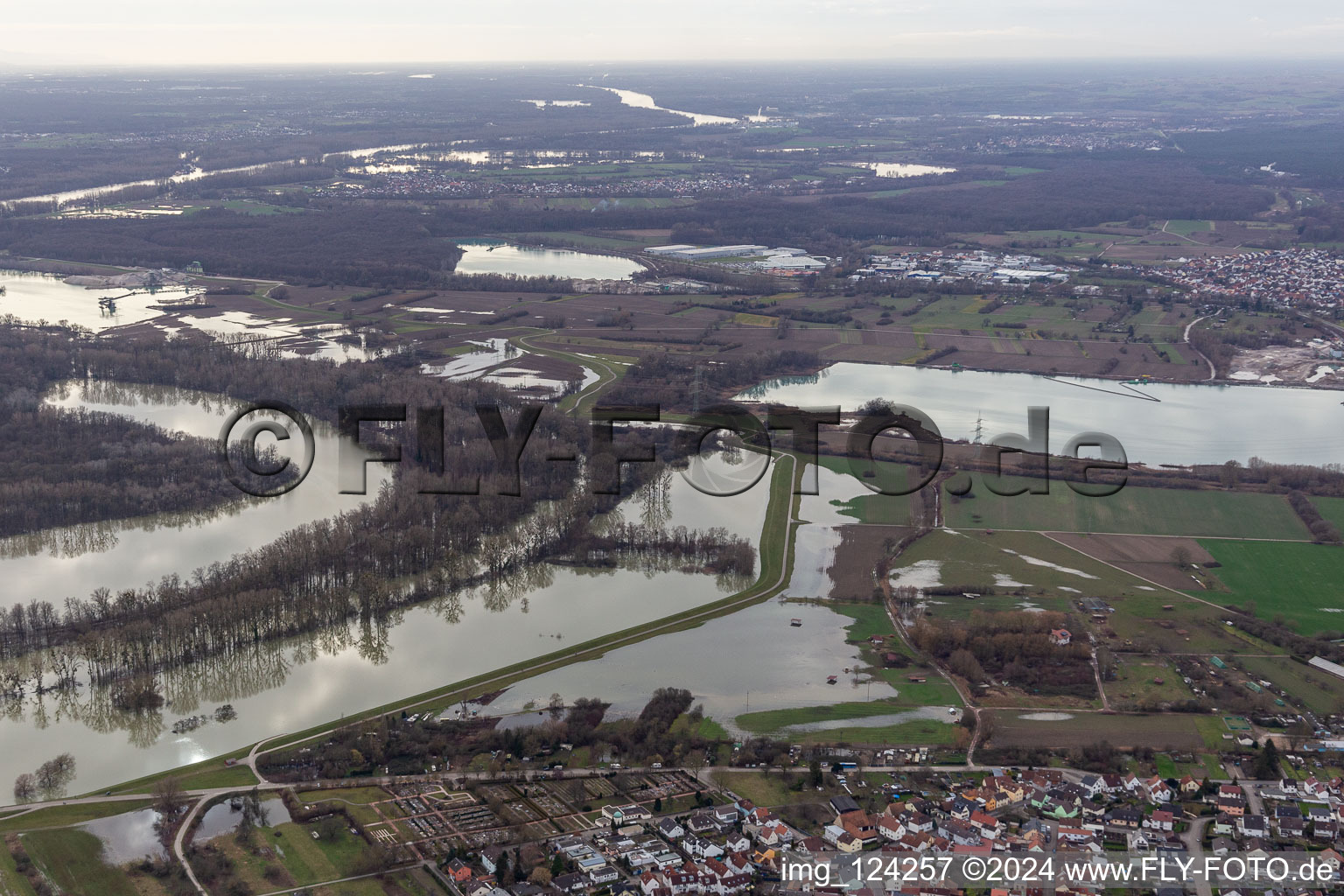 Vue aérienne de Hagenbacher Altrhein devant l'île de Nauas lors d'une inondation à le quartier Maximiliansau in Wörth am Rhein dans le département Rhénanie-Palatinat, Allemagne