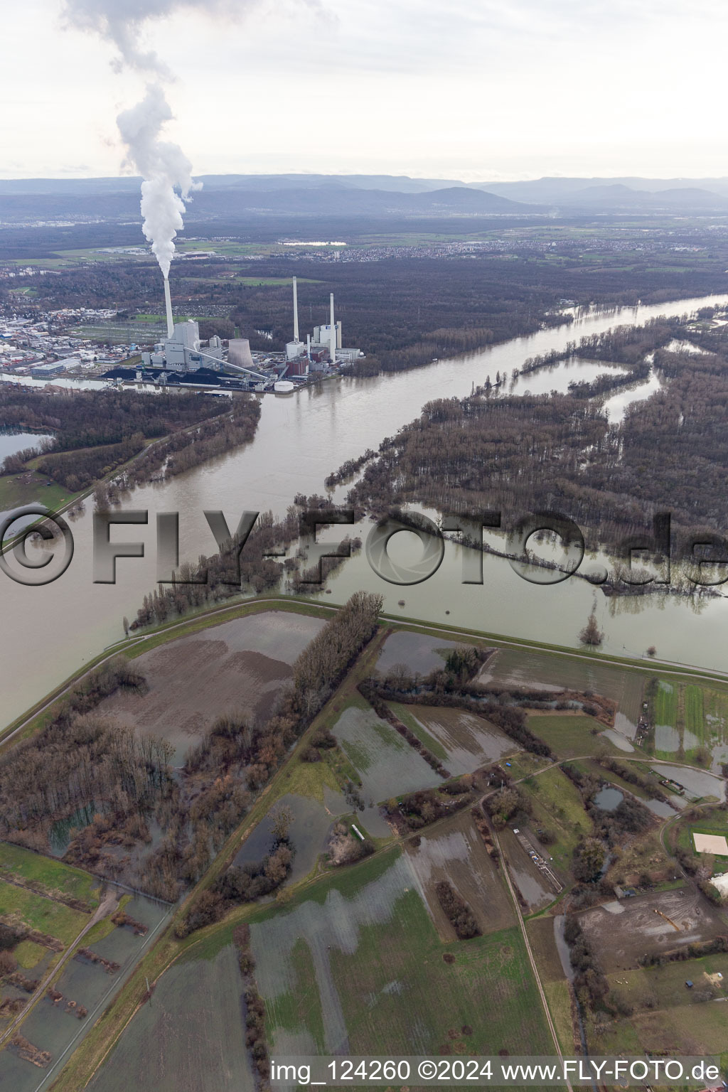 Vue aérienne de Paysage de plaines inondables et de prairies sur le vieux Rhin de Hagenbach, devant l'île de Nauas, avec fond d'or lors des crues du Rhin en Maximiliansau à le quartier Maximiliansau in Wörth am Rhein dans le département Rhénanie-Palatinat, Allemagne