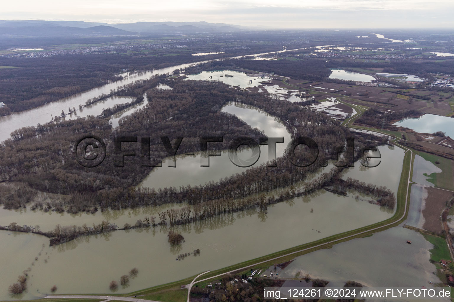 Vue aérienne de Hagenbacher Altrhein devant l'île de Nauas avec de l'or lors des crues du Rhin à le quartier Maximiliansau in Wörth am Rhein dans le département Rhénanie-Palatinat, Allemagne