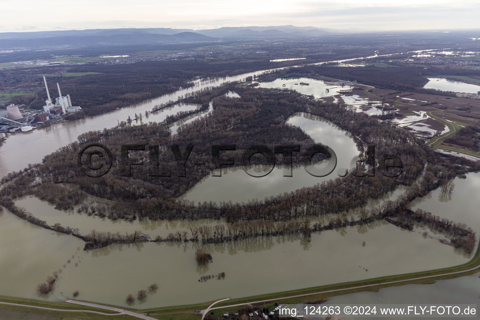 Vue aérienne de Hagenbacher Altrhein devant l'île de Nauas avec de l'or lors des crues du Rhin à le quartier Maximiliansau in Wörth am Rhein dans le département Rhénanie-Palatinat, Allemagne