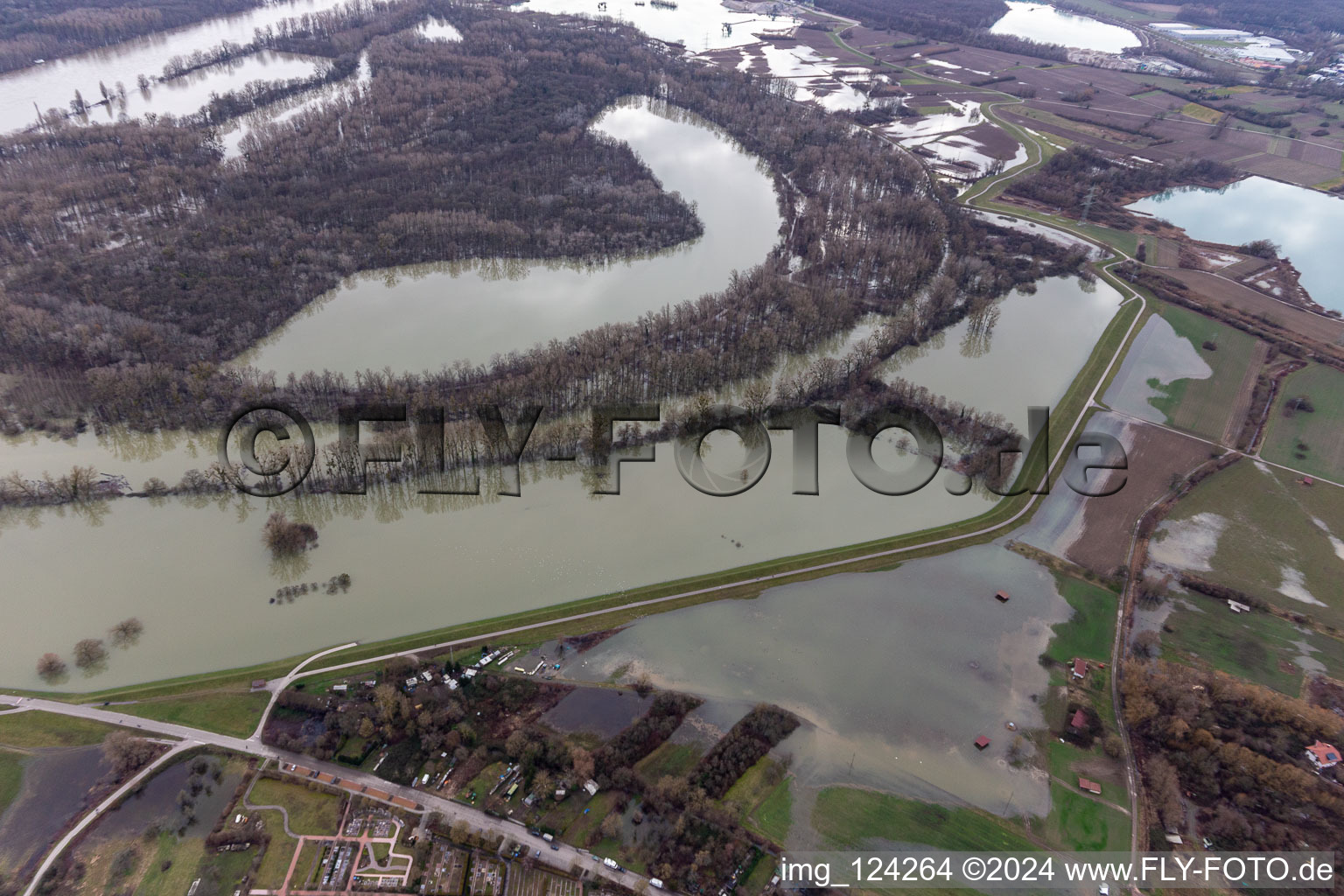 Vue aérienne de Paysage de plaines inondables et de prairies sur le vieux Rhin de Hagenbach, devant l'île de Nauas, avec fond d'or lors des crues du Rhin en Maximiliansau à le quartier Maximiliansau in Wörth am Rhein dans le département Rhénanie-Palatinat, Allemagne