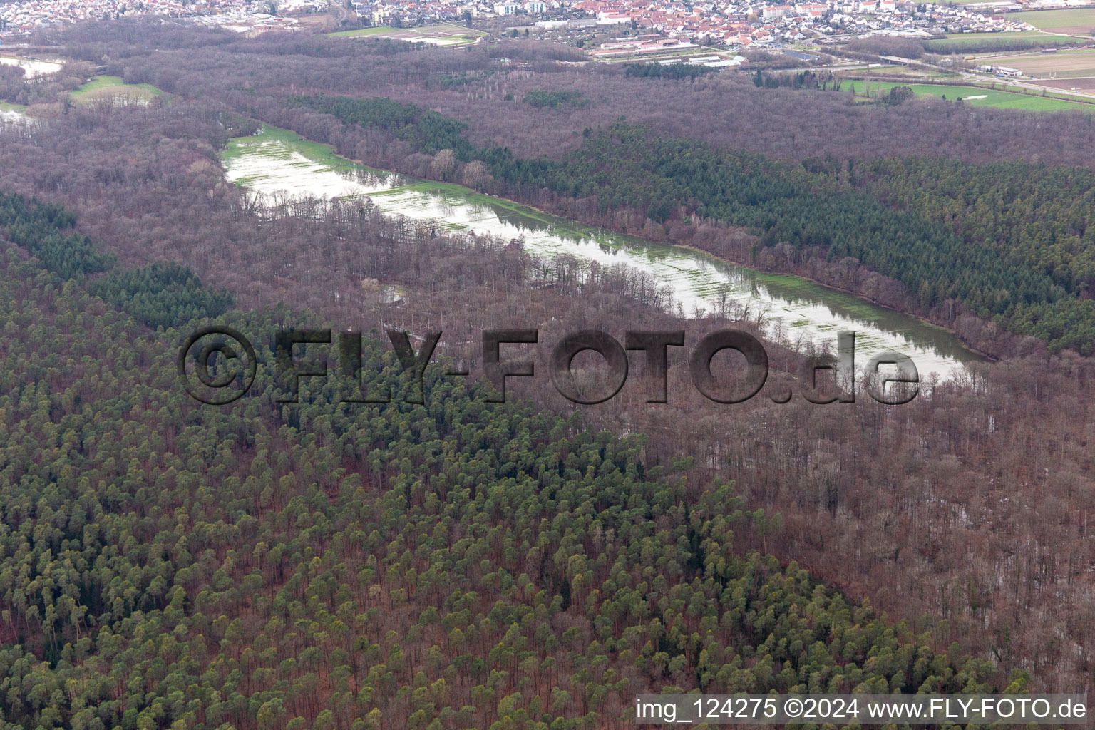 Vue aérienne de Otterbach avec prairies inondées dans le Bienwald à Kandel dans le département Rhénanie-Palatinat, Allemagne