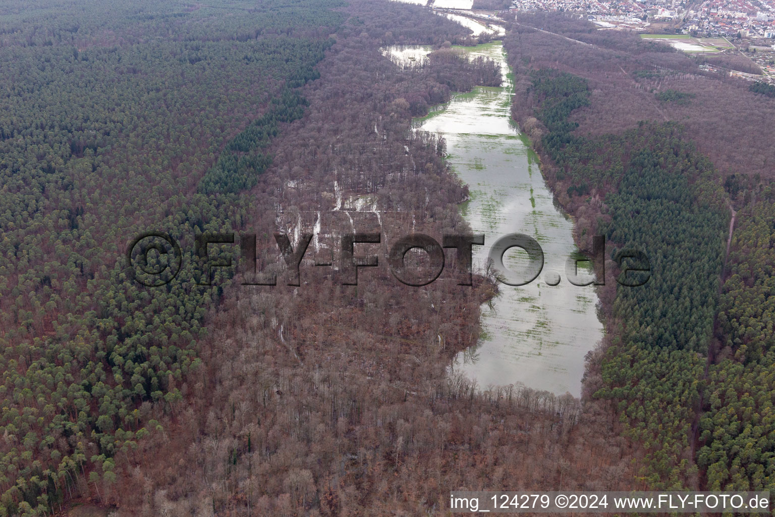 Vue aérienne de Otterbach avec prairies inondées dans le Bienwald à Kandel dans le département Rhénanie-Palatinat, Allemagne