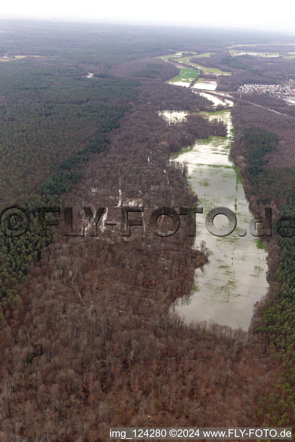 Vue aérienne de Zone forestière de Bienwald avec terrain sous l'Otterbach avec prairies inondées sur l'A65 à Kandel dans le département Rhénanie-Palatinat, Allemagne