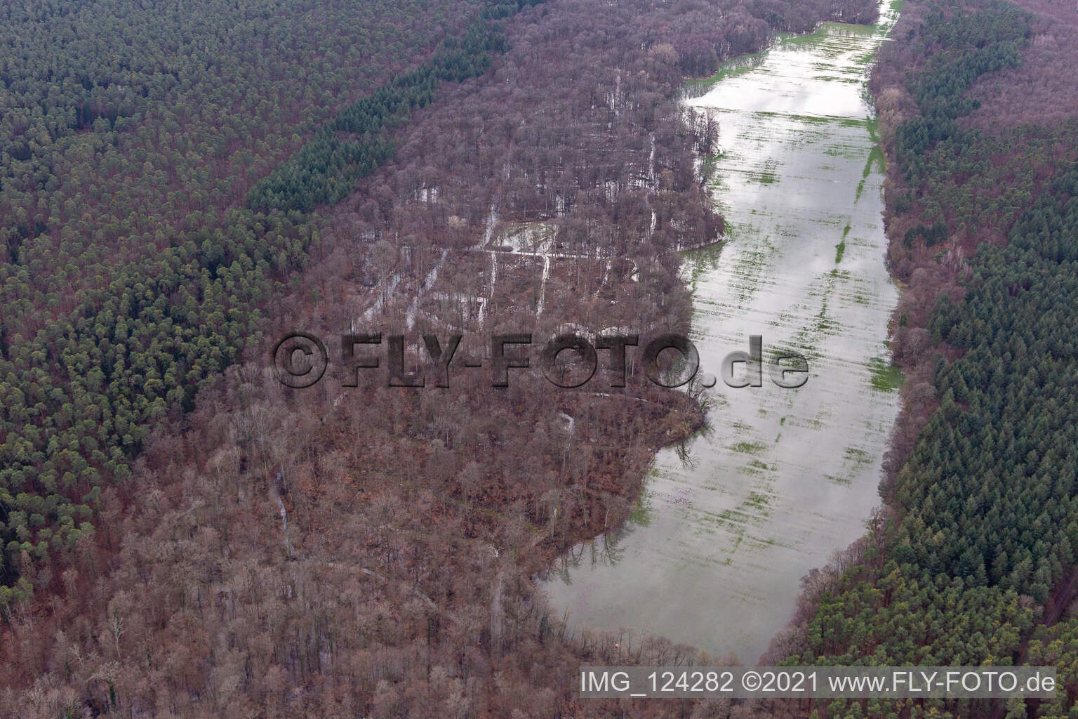 Photographie aérienne de Otterbach avec prairies inondées dans le Bienwald à Kandel dans le département Rhénanie-Palatinat, Allemagne