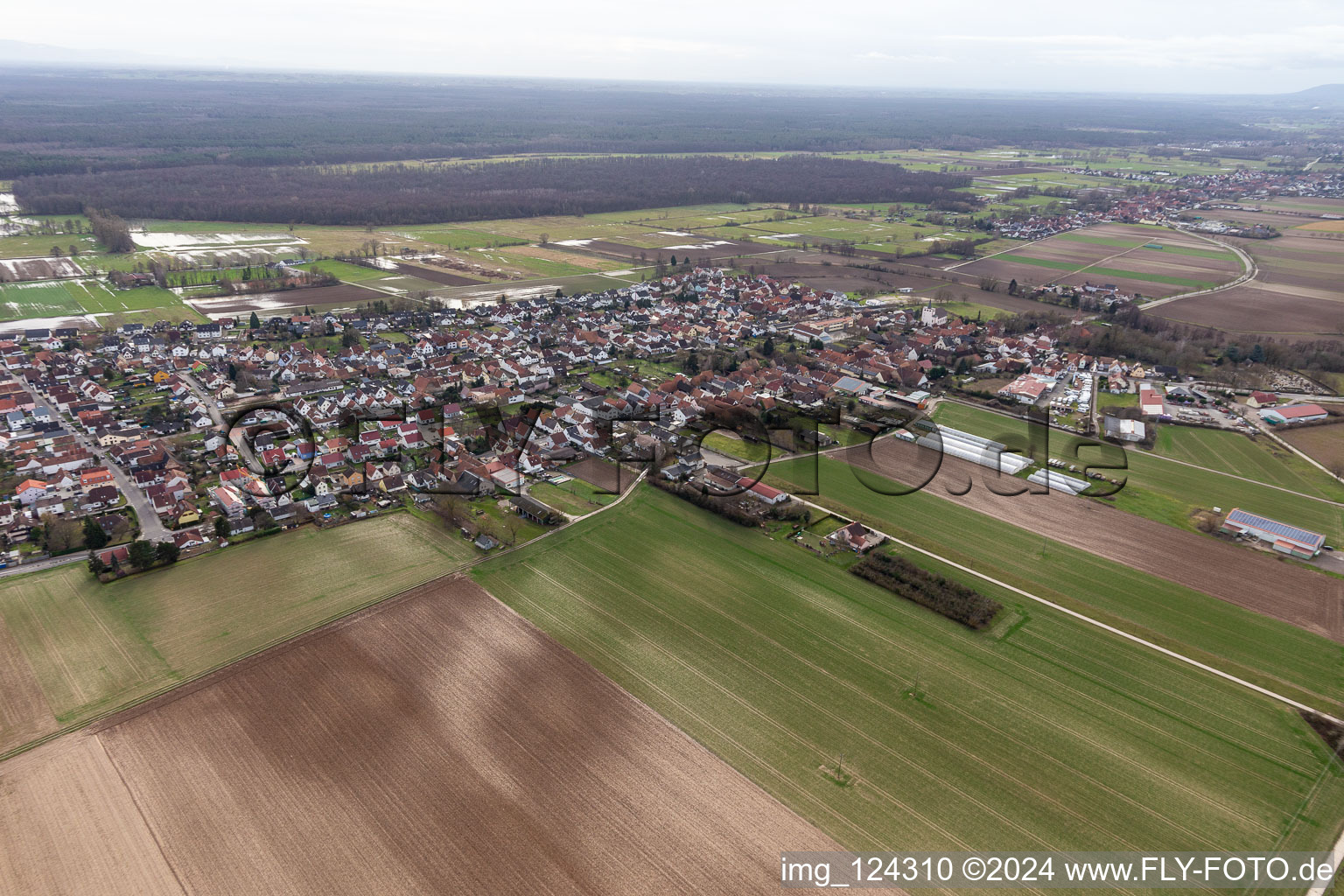 Vue aérienne de Minfeld dans le département Rhénanie-Palatinat, Allemagne