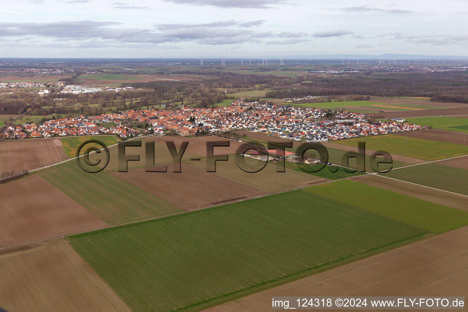 Vue d'oiseau de Steinweiler dans le département Rhénanie-Palatinat, Allemagne