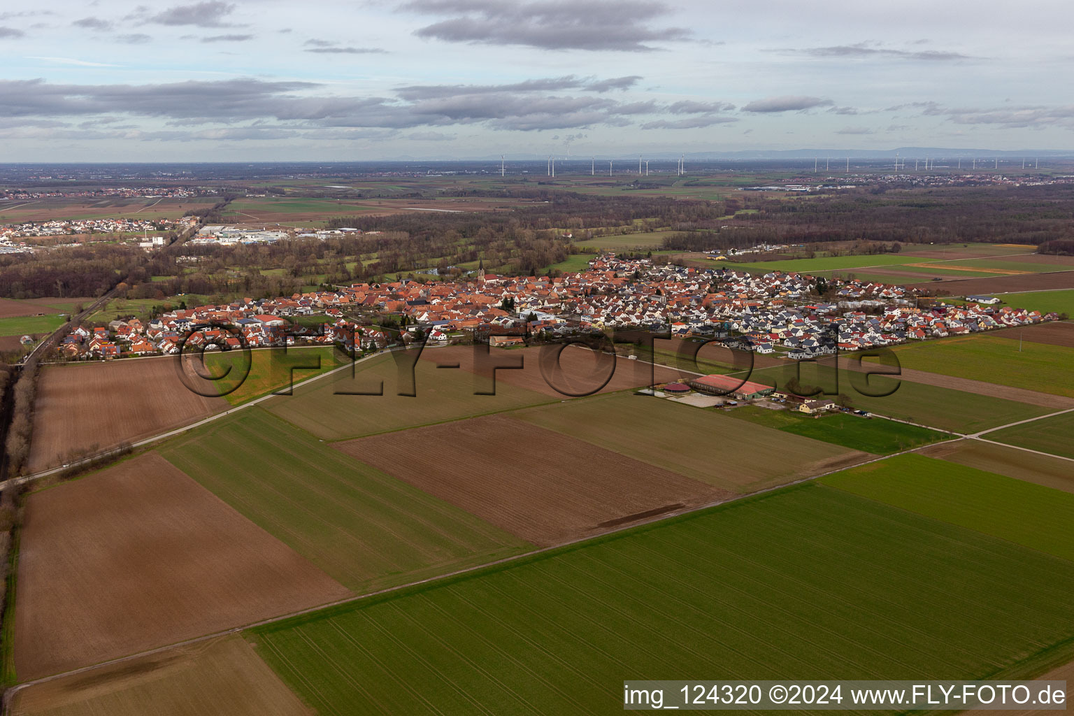 Steinweiler dans le département Rhénanie-Palatinat, Allemagne vue du ciel