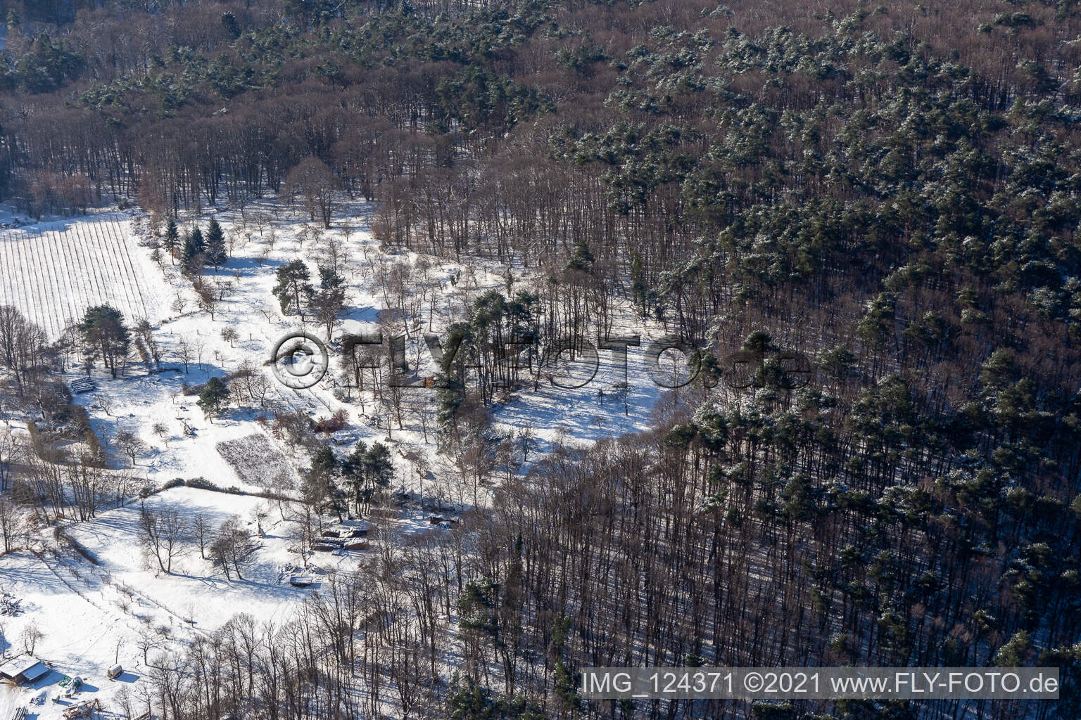 Vue aérienne de Vue aérienne d'hiver dans la neige des parcelles de jardin près de la forêt à Dörrenbach dans le département Rhénanie-Palatinat, Allemagne