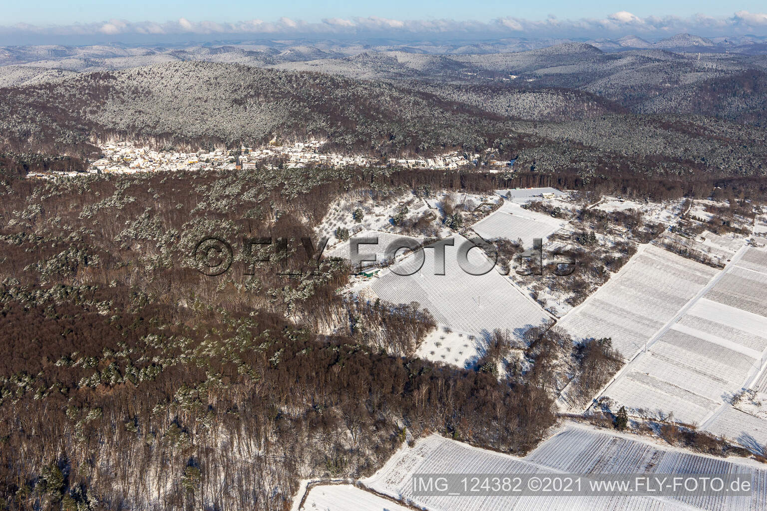 Vue aérienne de Vue aérienne d'hiver dans la neige des parcelles de jardin près de la forêt à Dörrenbach dans le département Rhénanie-Palatinat, Allemagne