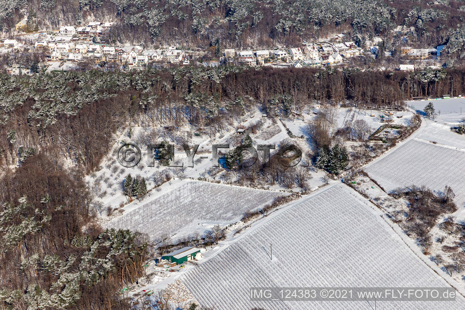 Vue aérienne de Vue aérienne d'hiver dans la neige des parcelles de jardin près de la forêt à Dörrenbach dans le département Rhénanie-Palatinat, Allemagne