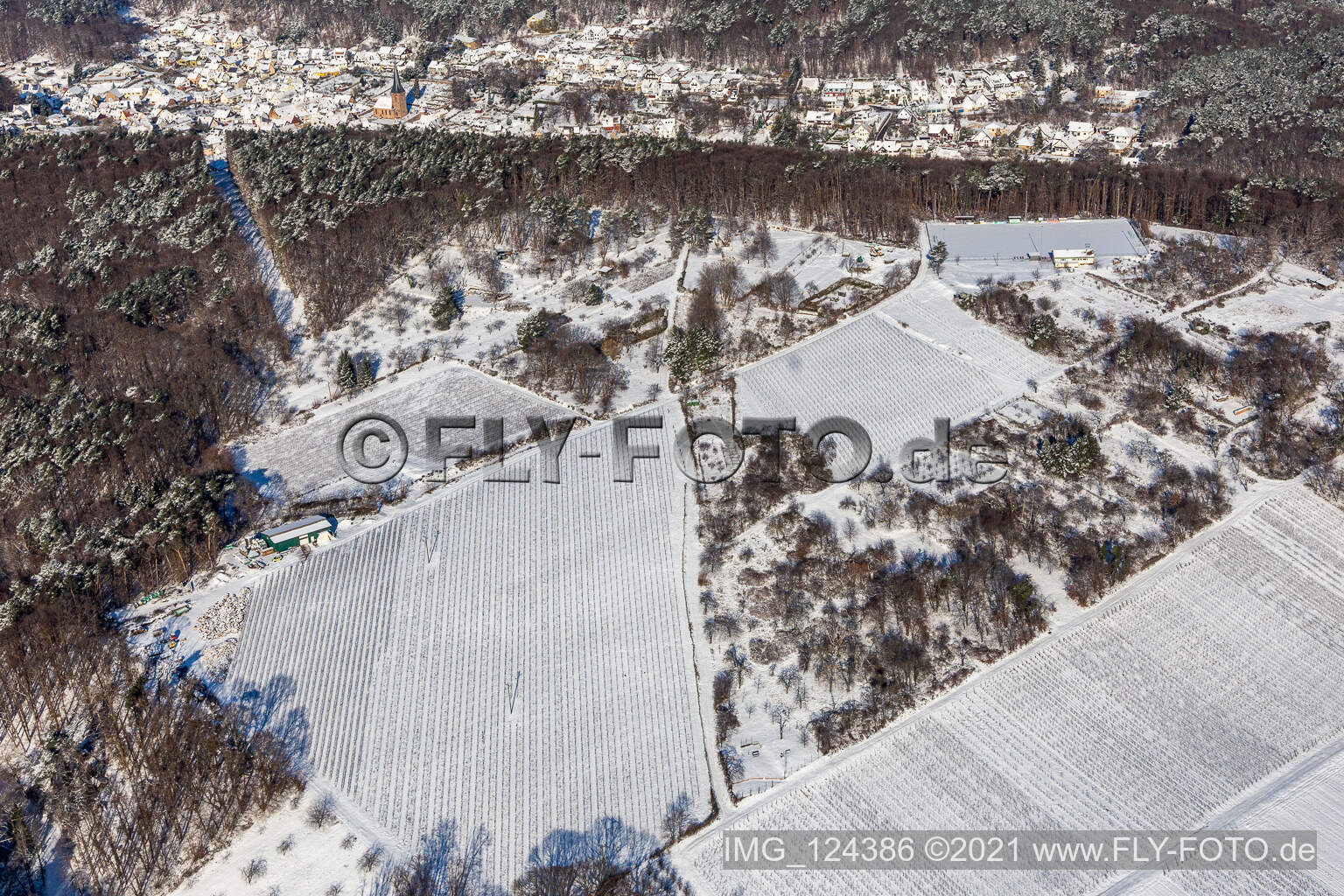 Vue aérienne de Vue aérienne d'hiver dans la neige des parcelles de jardin près de la forêt à Dörrenbach dans le département Rhénanie-Palatinat, Allemagne