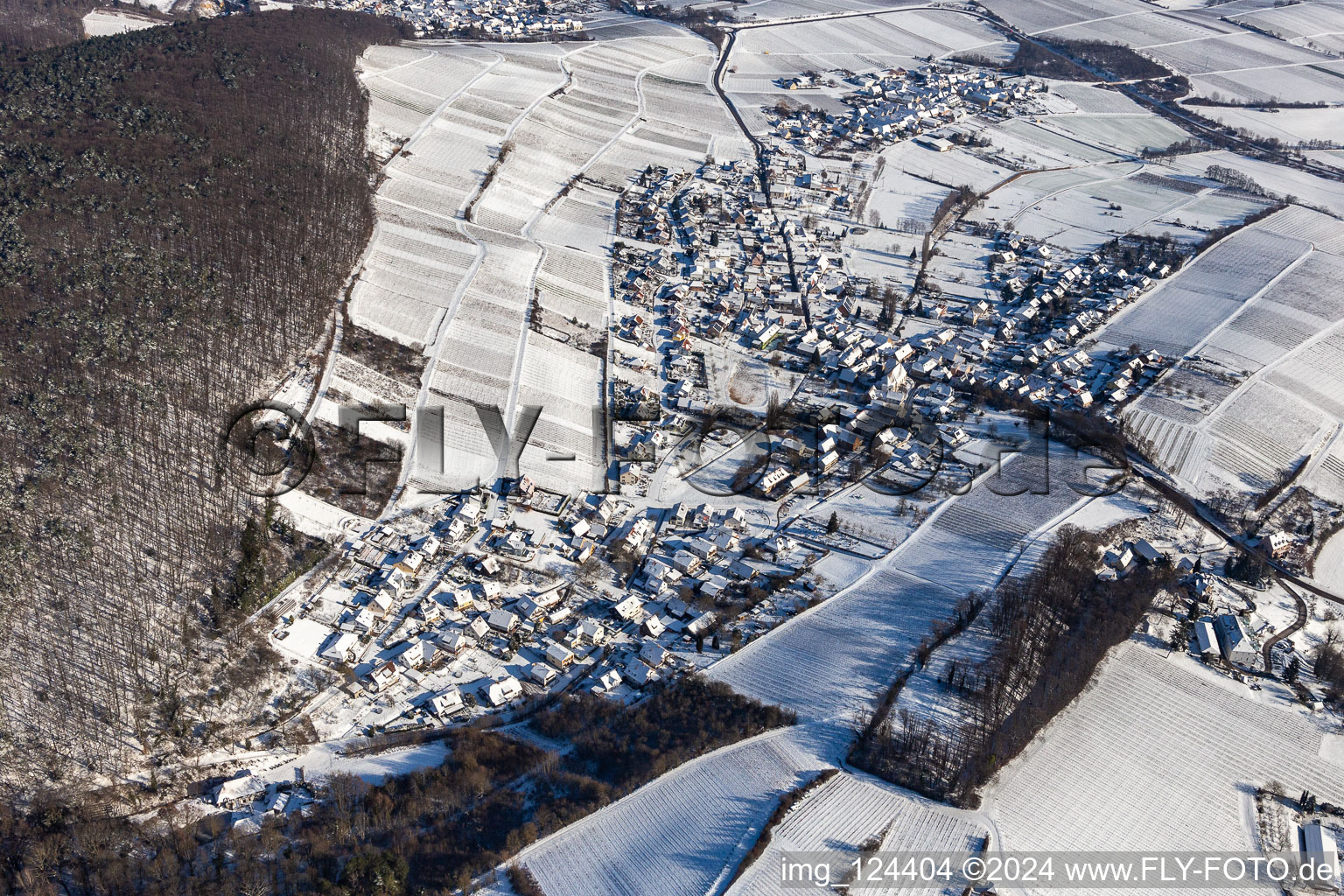 Vue aérienne de Photo aérienne d'hiver dans la neige de Pleisweiler à le quartier Pleisweiler in Pleisweiler-Oberhofen dans le département Rhénanie-Palatinat, Allemagne