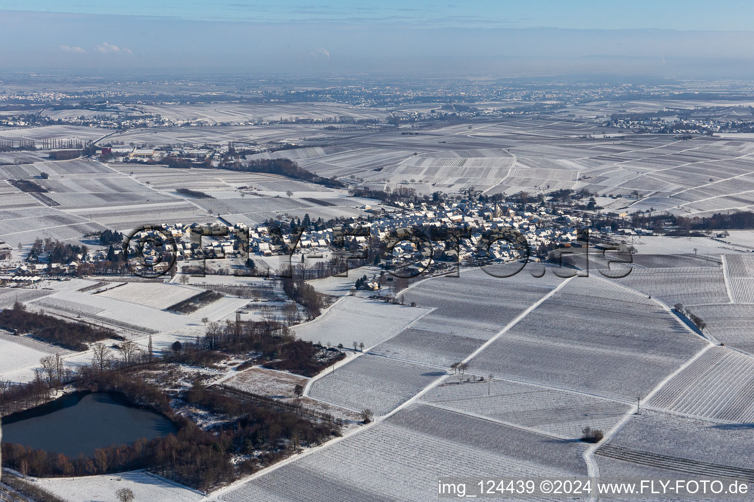 Vue aérienne de Vue aérienne d'hiver dans la neige à Göcklingen dans le département Rhénanie-Palatinat, Allemagne