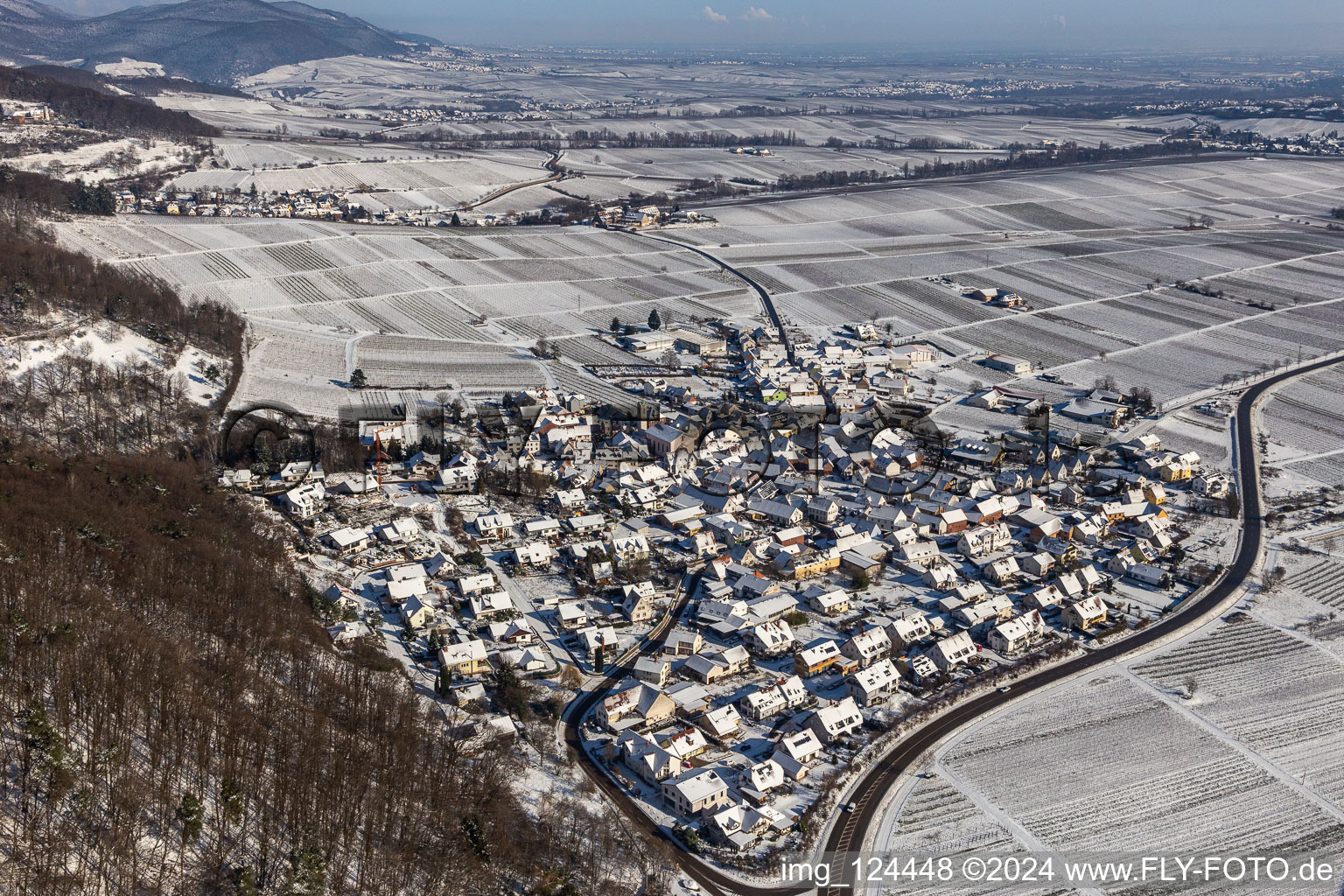 Vue aérienne de Vignobles enneigés en hiver au pied du Haardtrand de la forêt du Palatinat à Eschbach dans le département Rhénanie-Palatinat, Allemagne