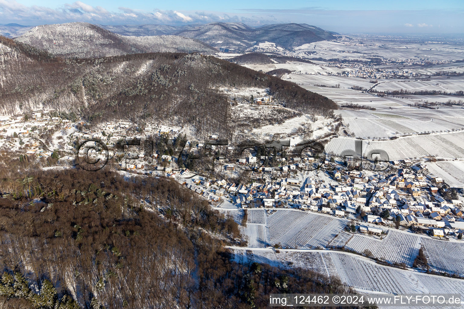 Vue aérienne de Vue aérienne d'hiver dans la neige à Leinsweiler dans le département Rhénanie-Palatinat, Allemagne