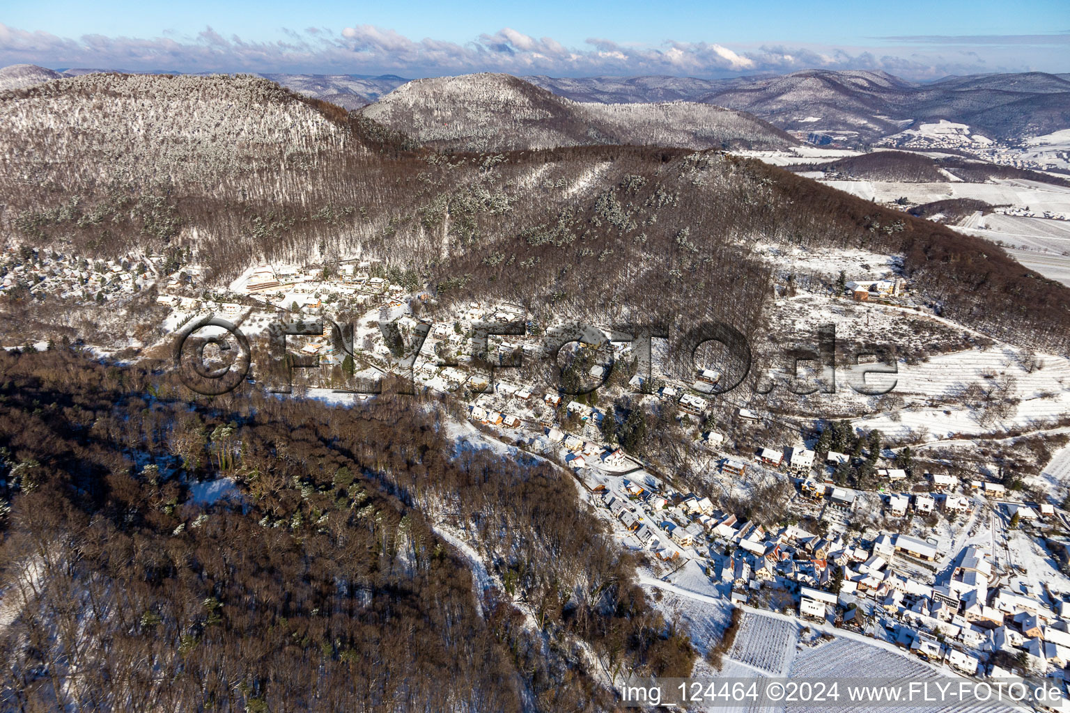 Vue aérienne de Vue aérienne d'hiver dans la neige à Leinsweiler dans le département Rhénanie-Palatinat, Allemagne