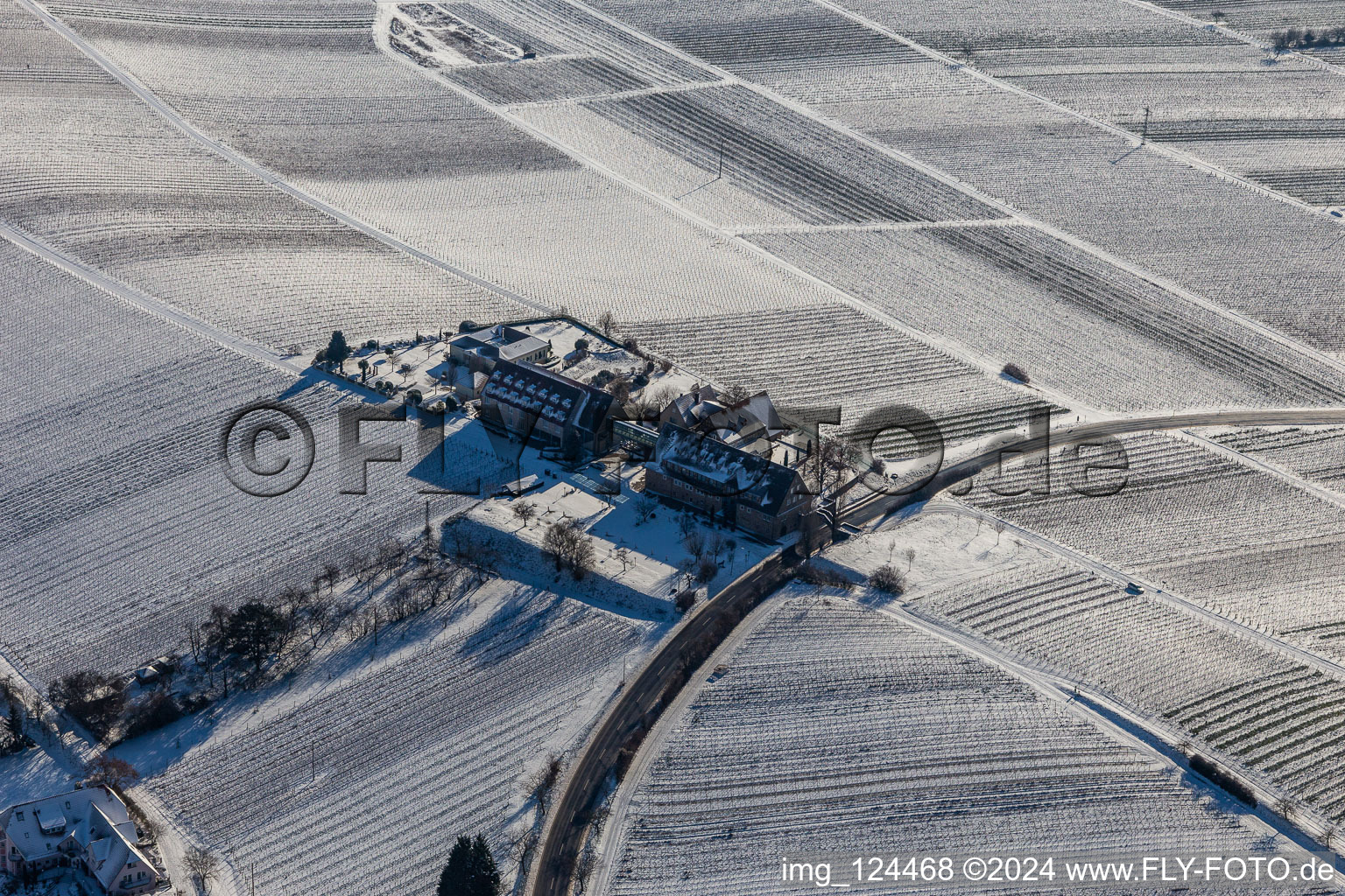 Photographie aérienne de Hiver enneigé " Leinsweiler mètre à Leinsweiler dans le département Rhénanie-Palatinat, Allemagne