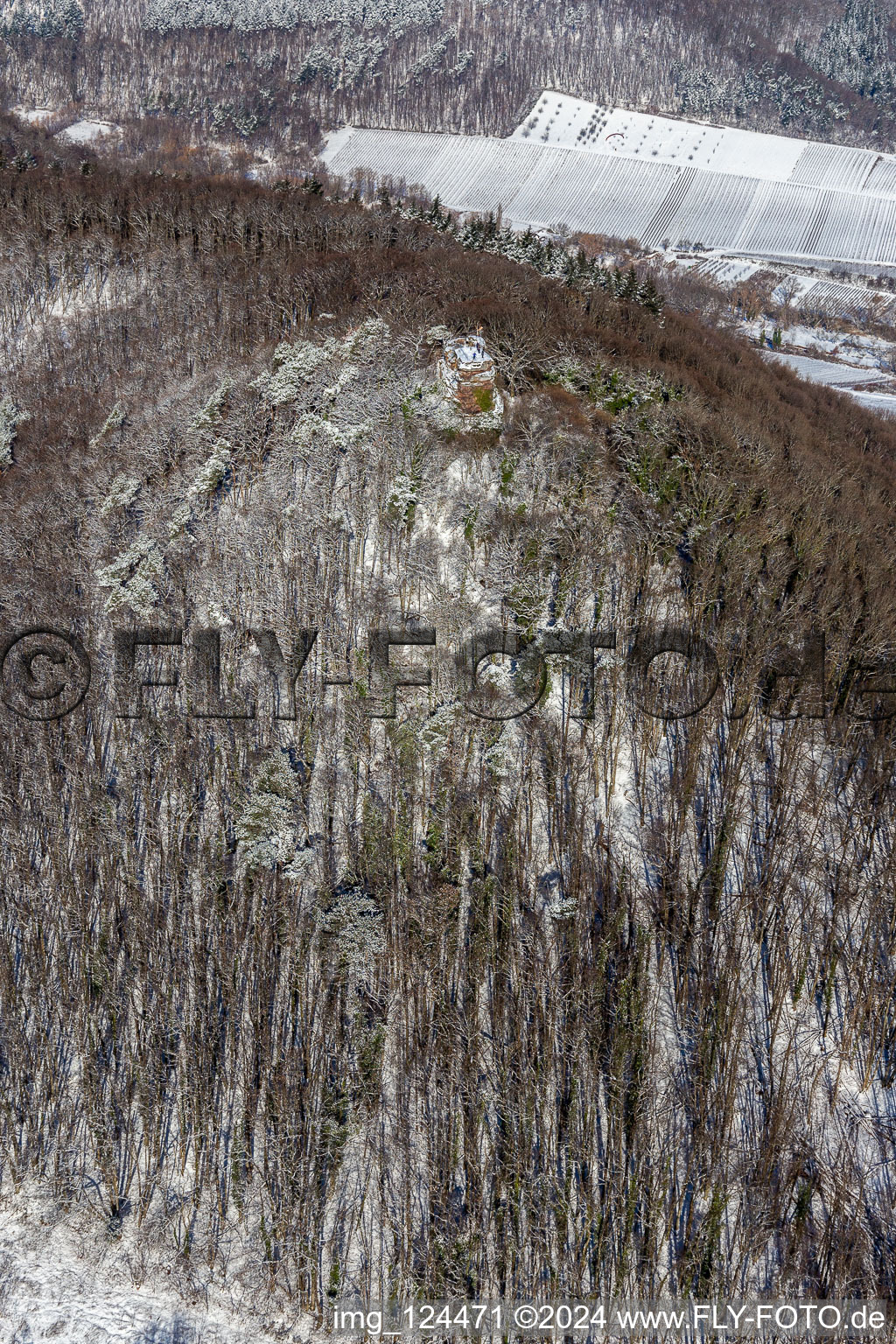 Vue aérienne de Vue aérienne d'hiver dans la neige du château de Neukastell à Leinsweiler dans le département Rhénanie-Palatinat, Allemagne