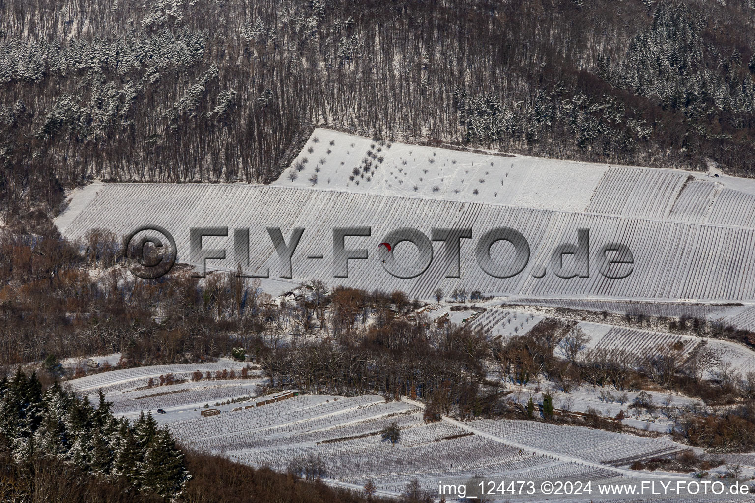 Vue aérienne de Vue aérienne d'hiver dans la neige de l'atterrissage de parapente à Ranschbachtal à Ranschbach dans le département Rhénanie-Palatinat, Allemagne