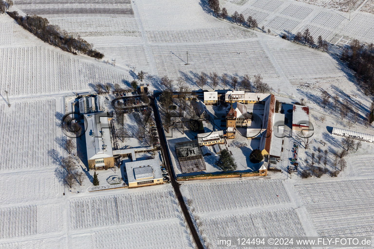 Vue aérienne de Complexe de bâtiments enneigés d'hiver de l'Institut Julius Kühn Rebforschungsanstalt Geilweilerhof avec des amandiers en fleurs à Siebeldingen dans le département Rhénanie-Palatinat, Allemagne