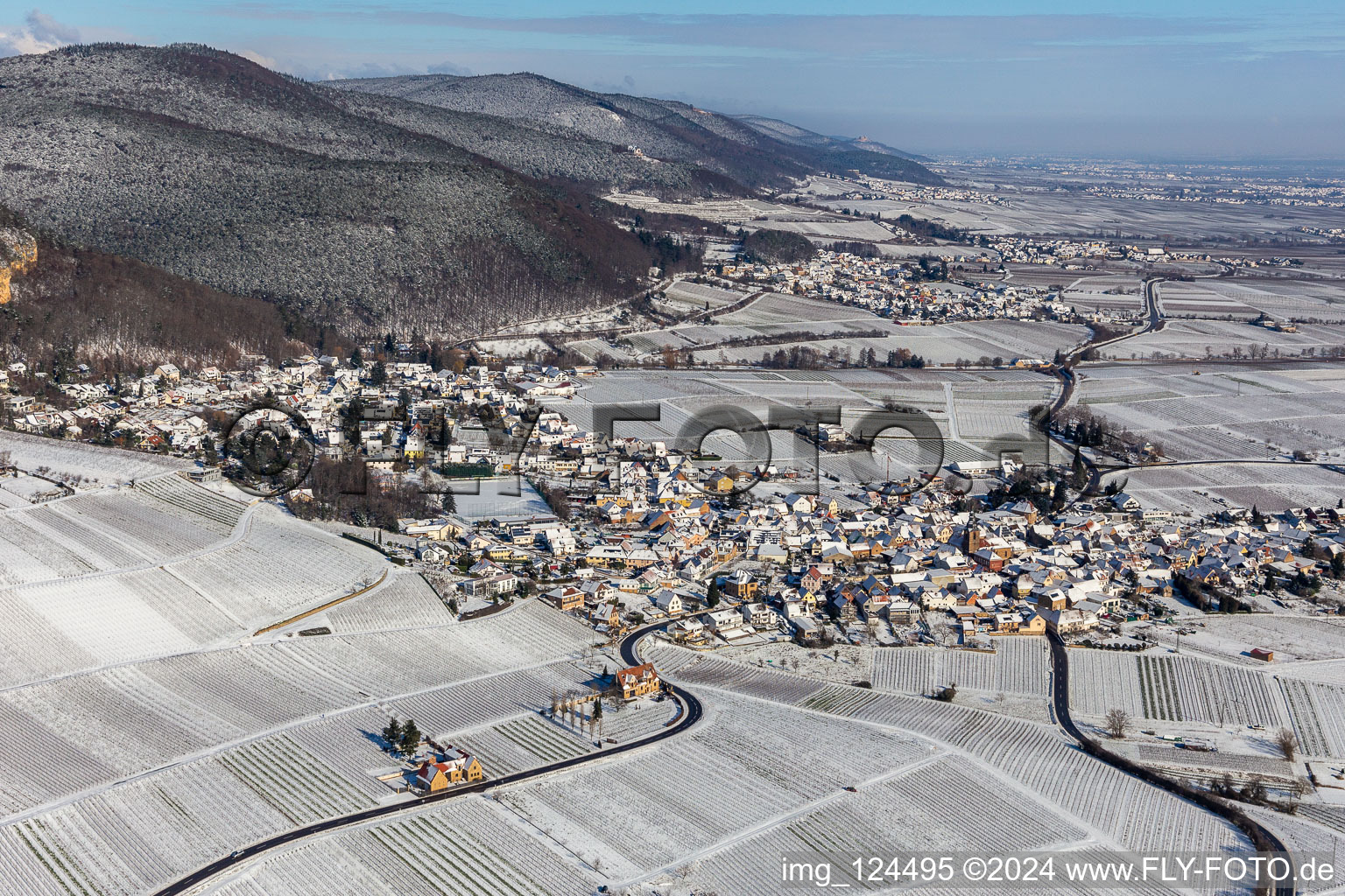 Vue aérienne de Vue aérienne d'hiver dans la neige à Frankweiler dans le département Rhénanie-Palatinat, Allemagne