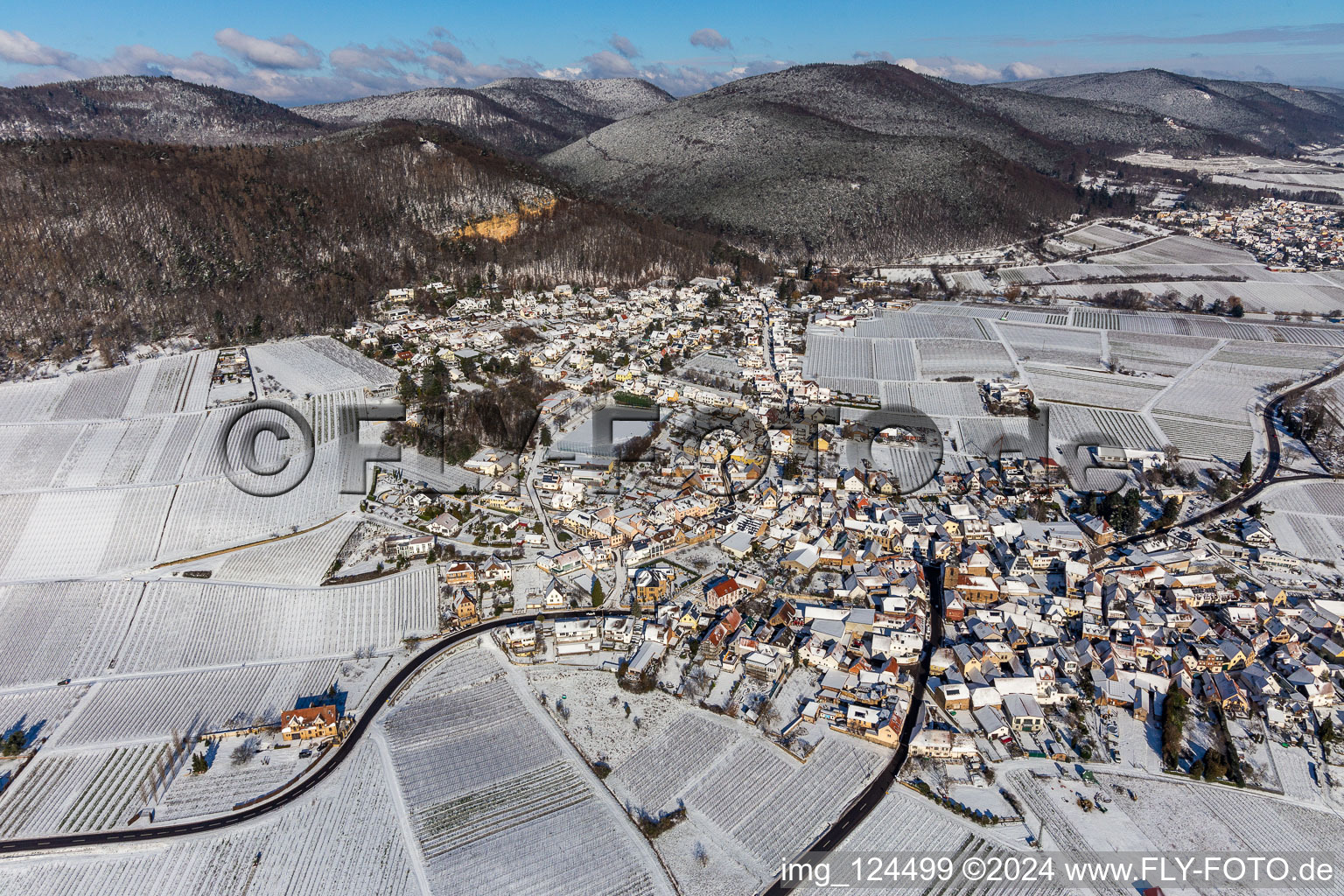 Vue aérienne de Vue aérienne d'hiver dans la neige à Frankweiler dans le département Rhénanie-Palatinat, Allemagne